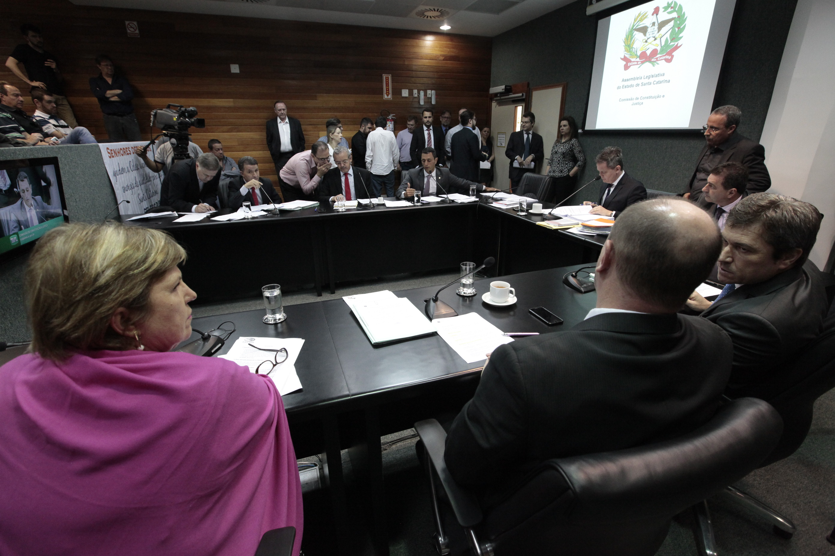 Comissão de Constituição e Justiça