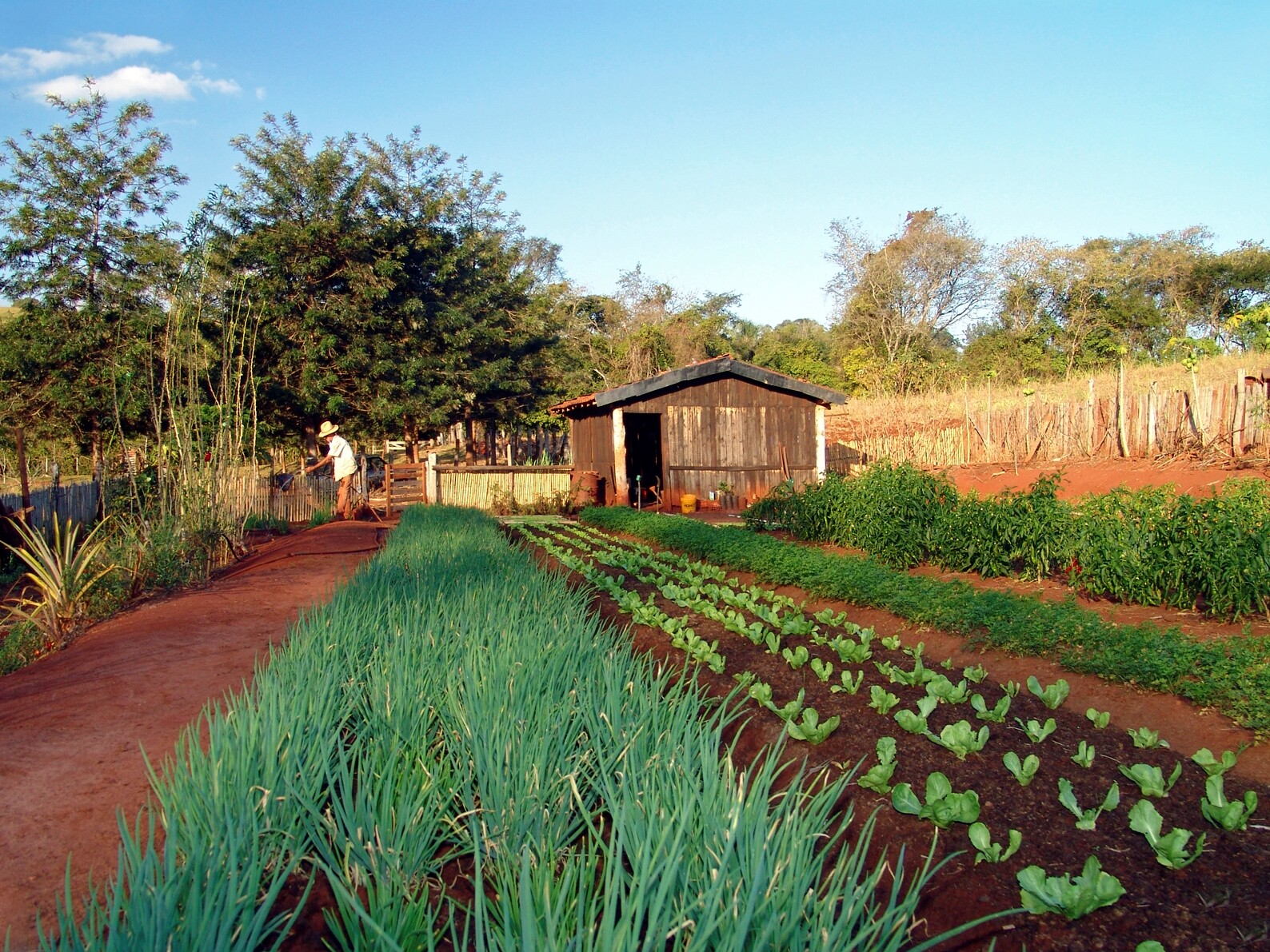 Santa Rosa de Lima sedia seminário sobre Agroecologia
