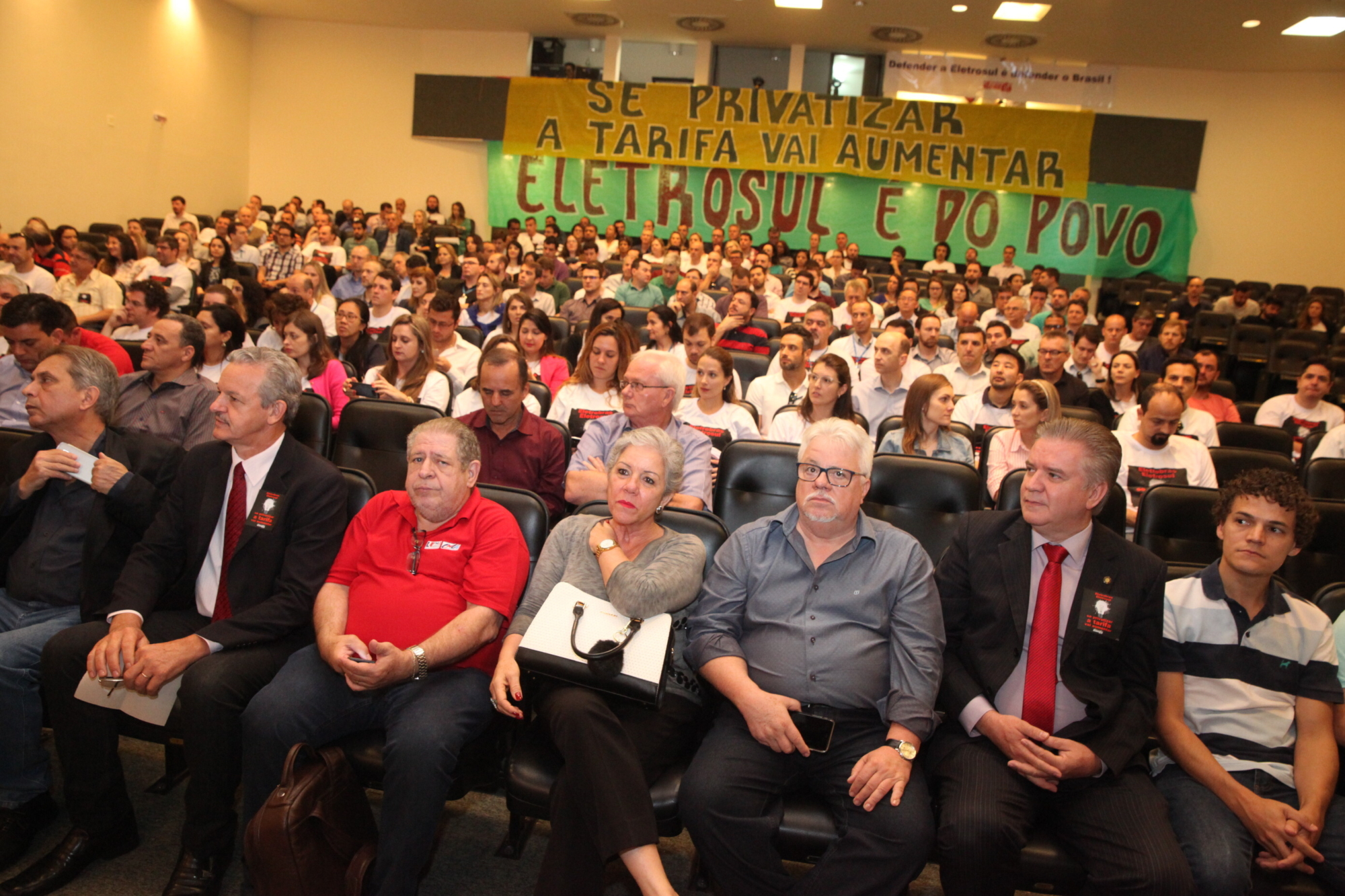 Audiência pública debate privatização do sistema elétrico no Brasil