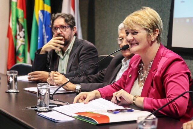 “O nosso estado pouco investe no setor cultural e é essencial mudarmos essa realidade”, diz Luciane Carminatti durante a reunião.