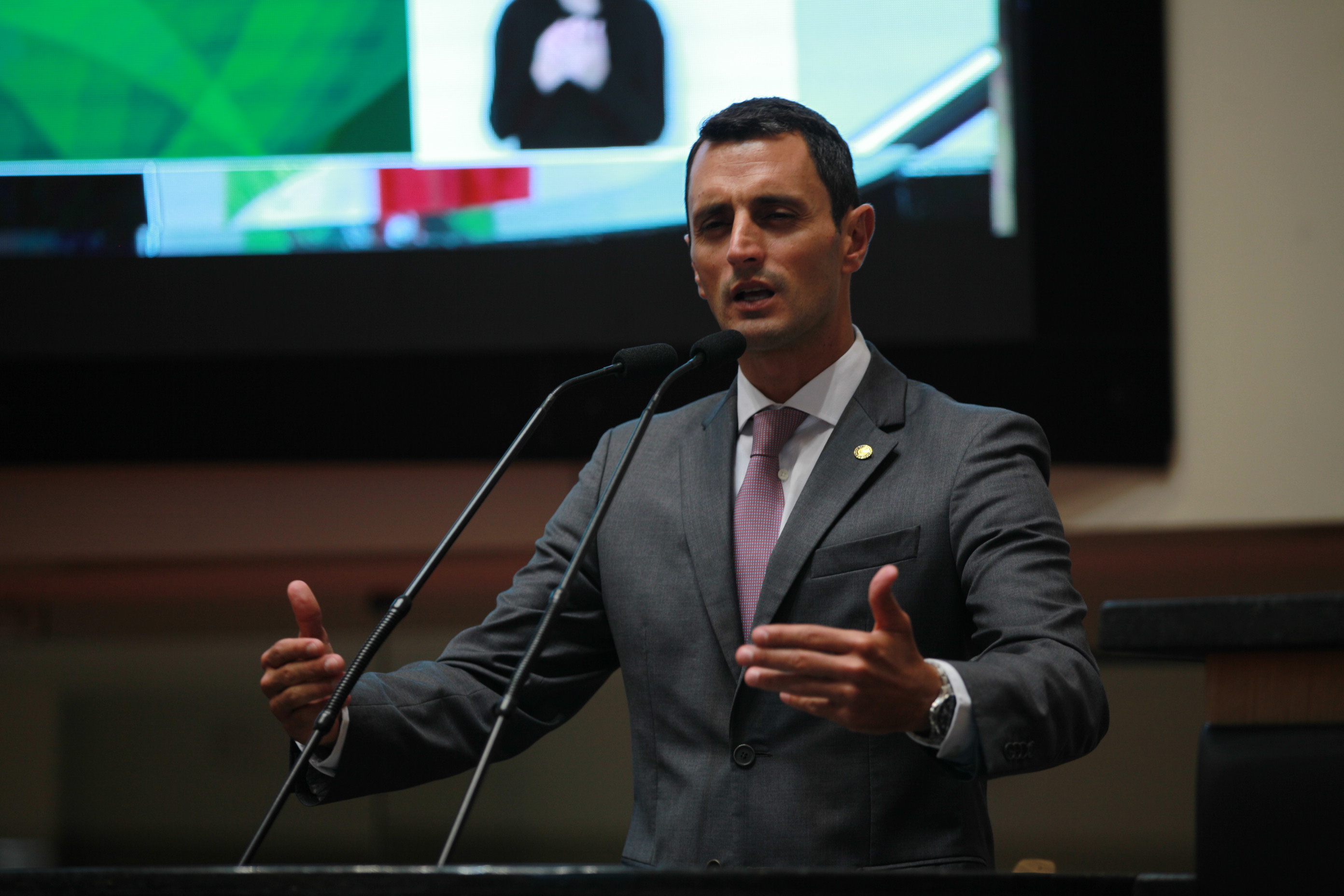 Sessão Ordinária. Deputado João Amin (PP)