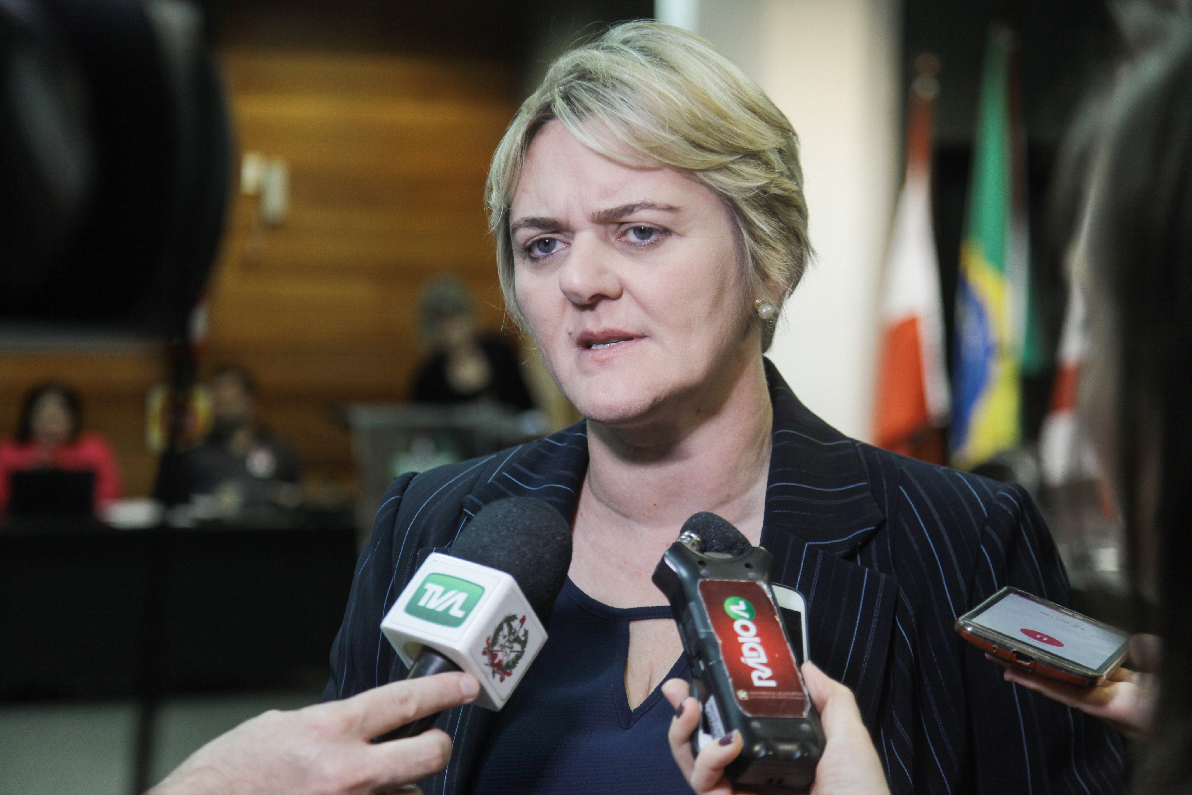Deputada Luciane Carminatti (PT). Comissão de Educação, Cultura e Desporto.