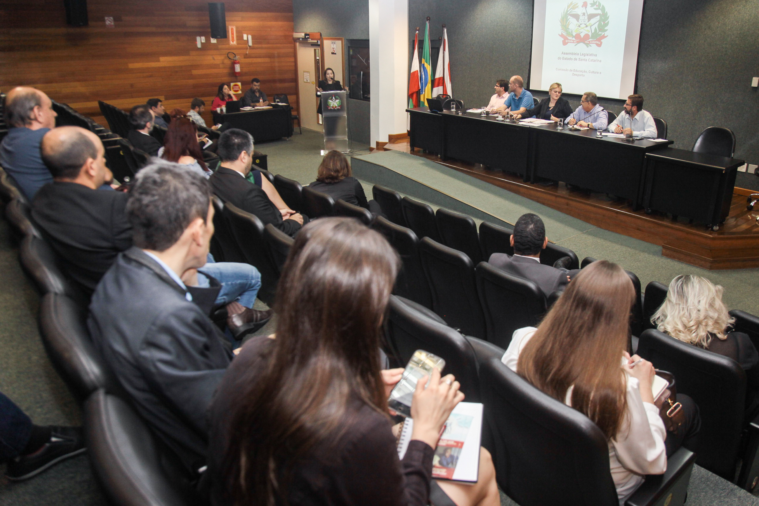 Comissão de Educação, Cultura e Desporto.