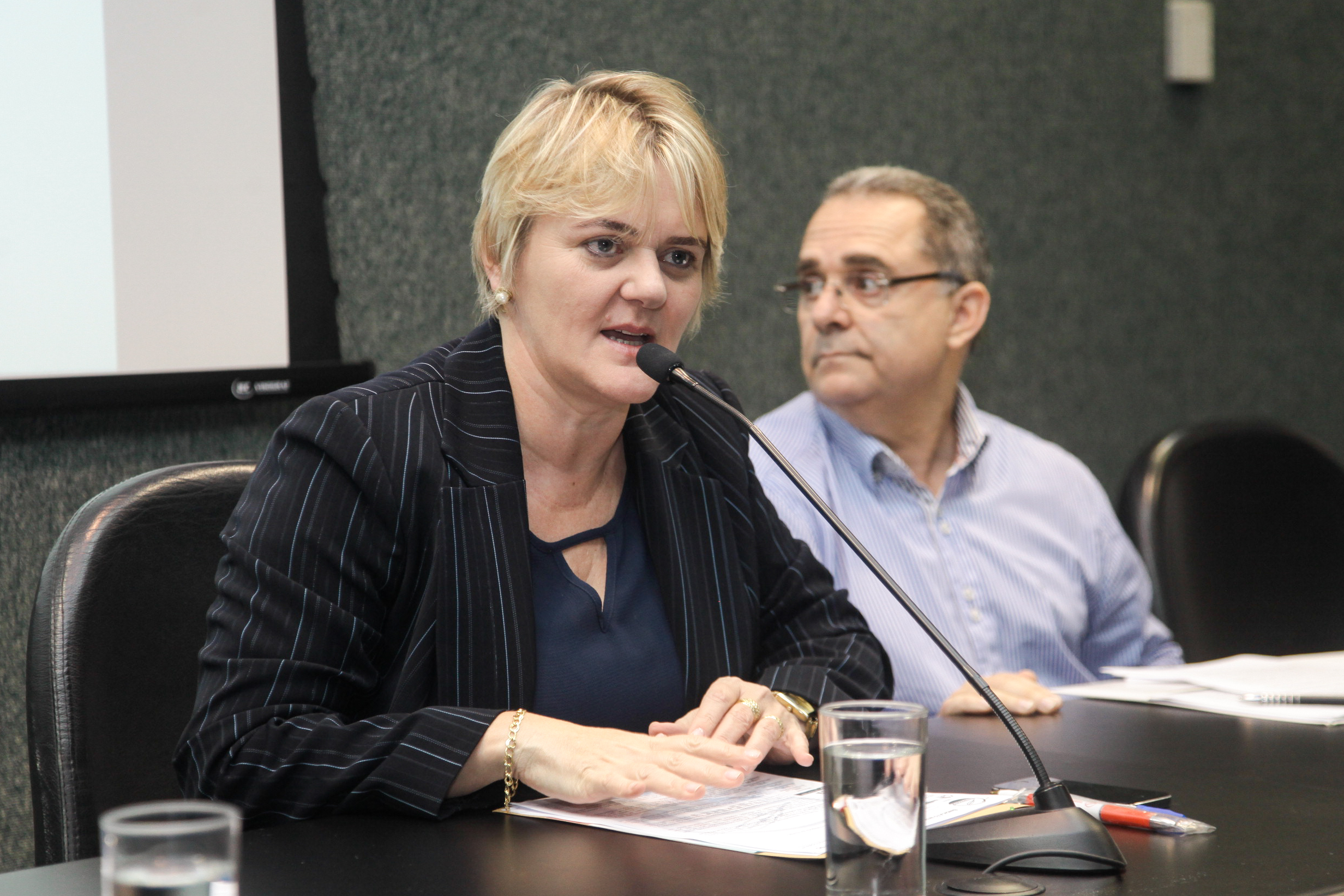 Deputada Luciane Carminatti (PT). Comissão de Educação, Cultura e Desporto.