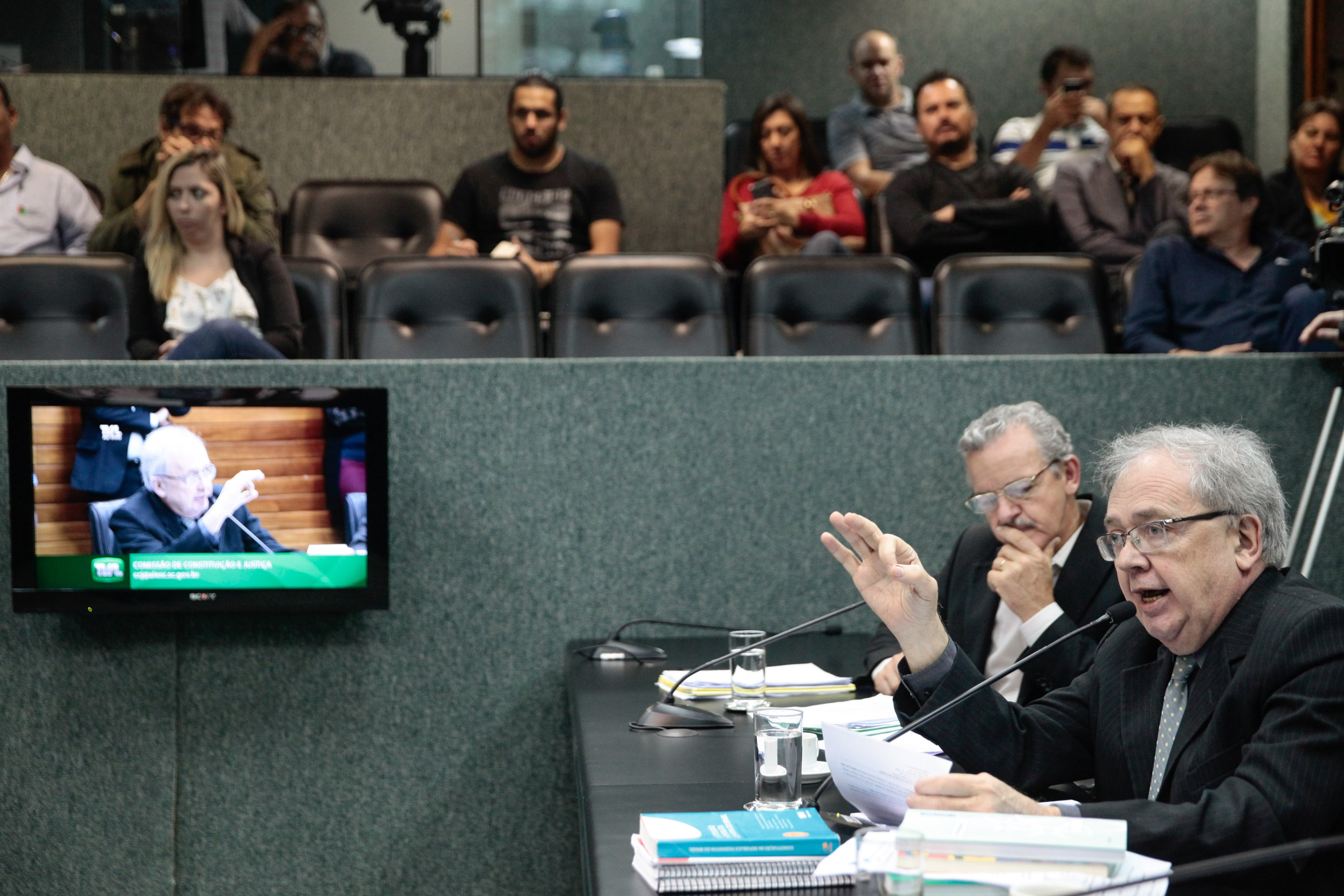 Comissão de Constituição e Justiça.