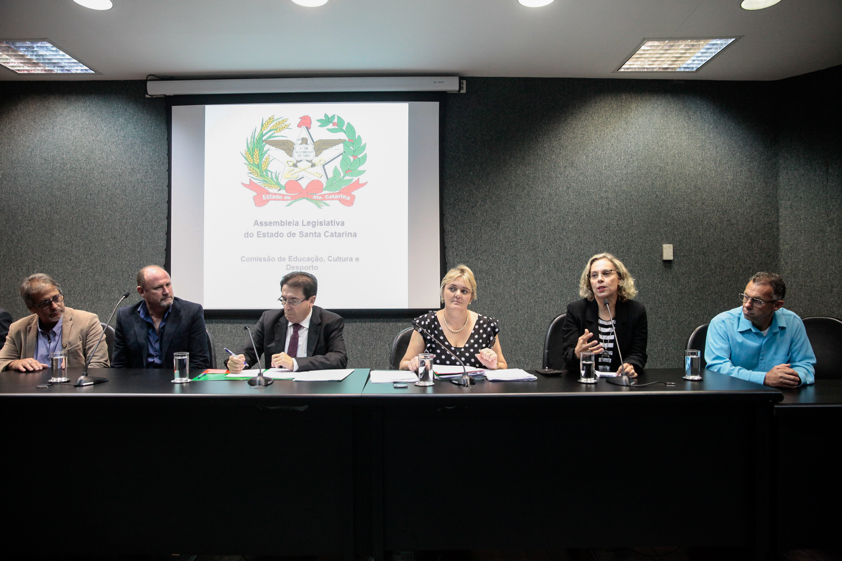 Comissão de Educação, Cultura e Desporto.