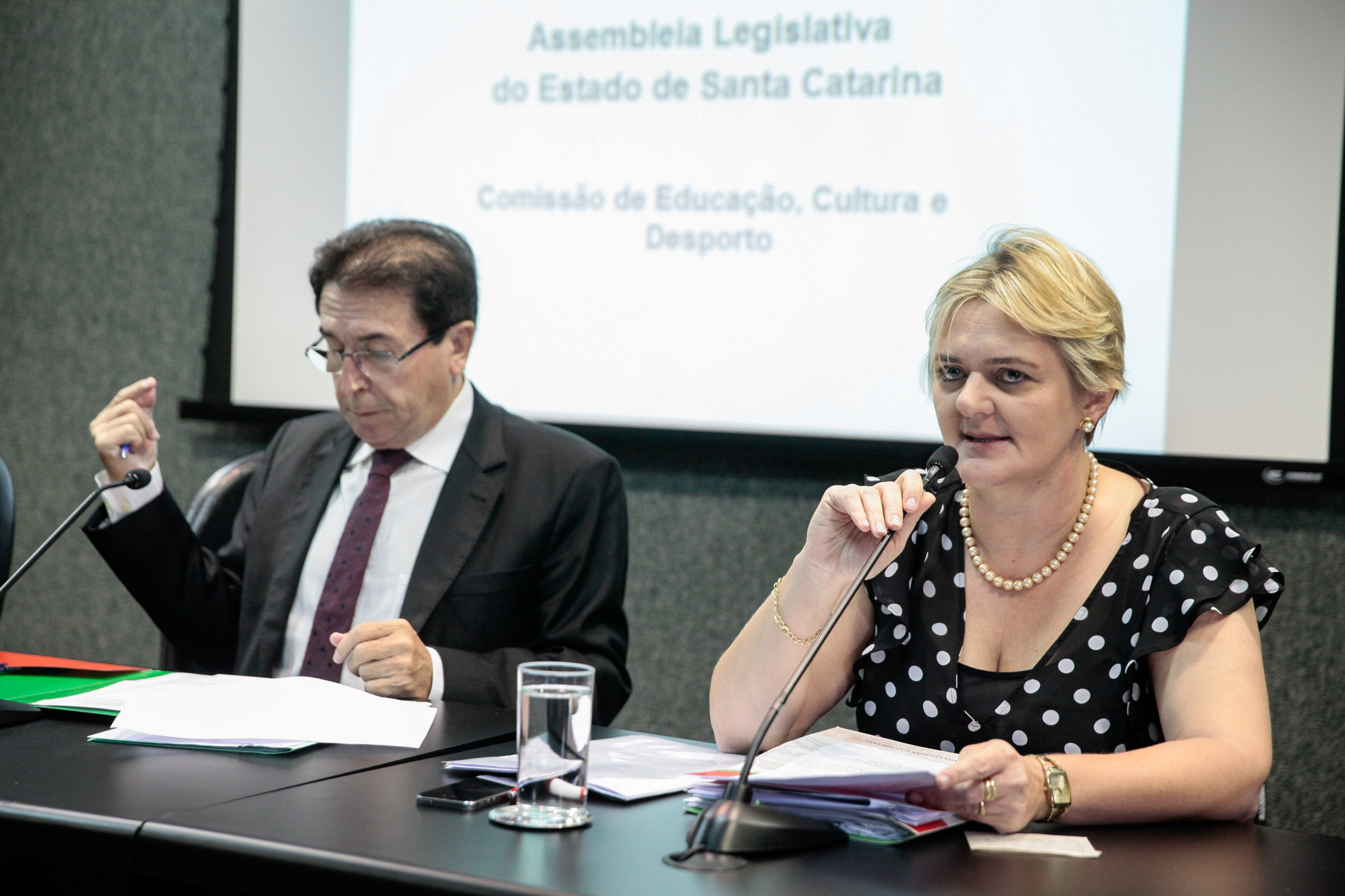 Comissão de Educação, Cultura e Desporto.