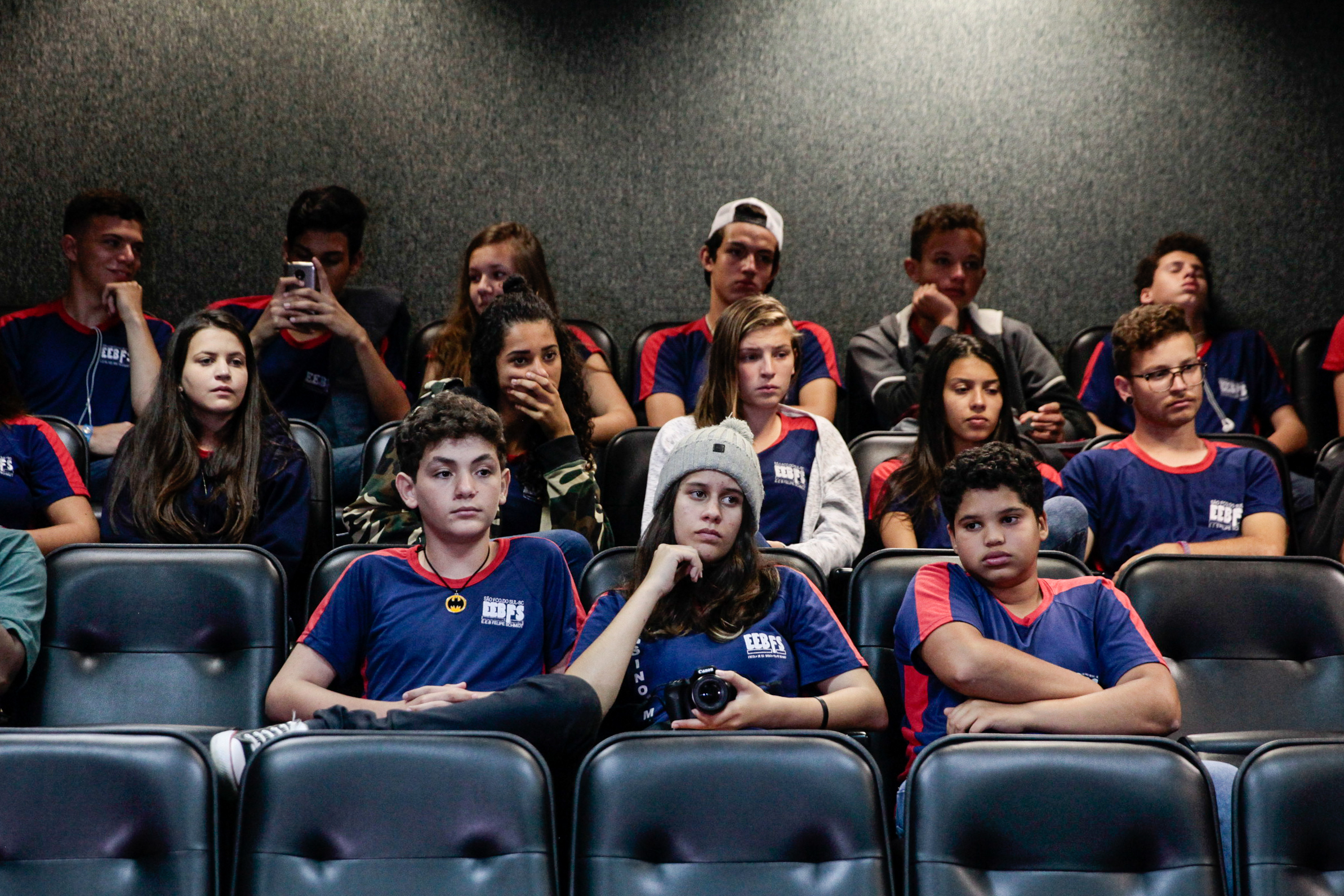 Comissão de Educação, Cultura e Desporto.