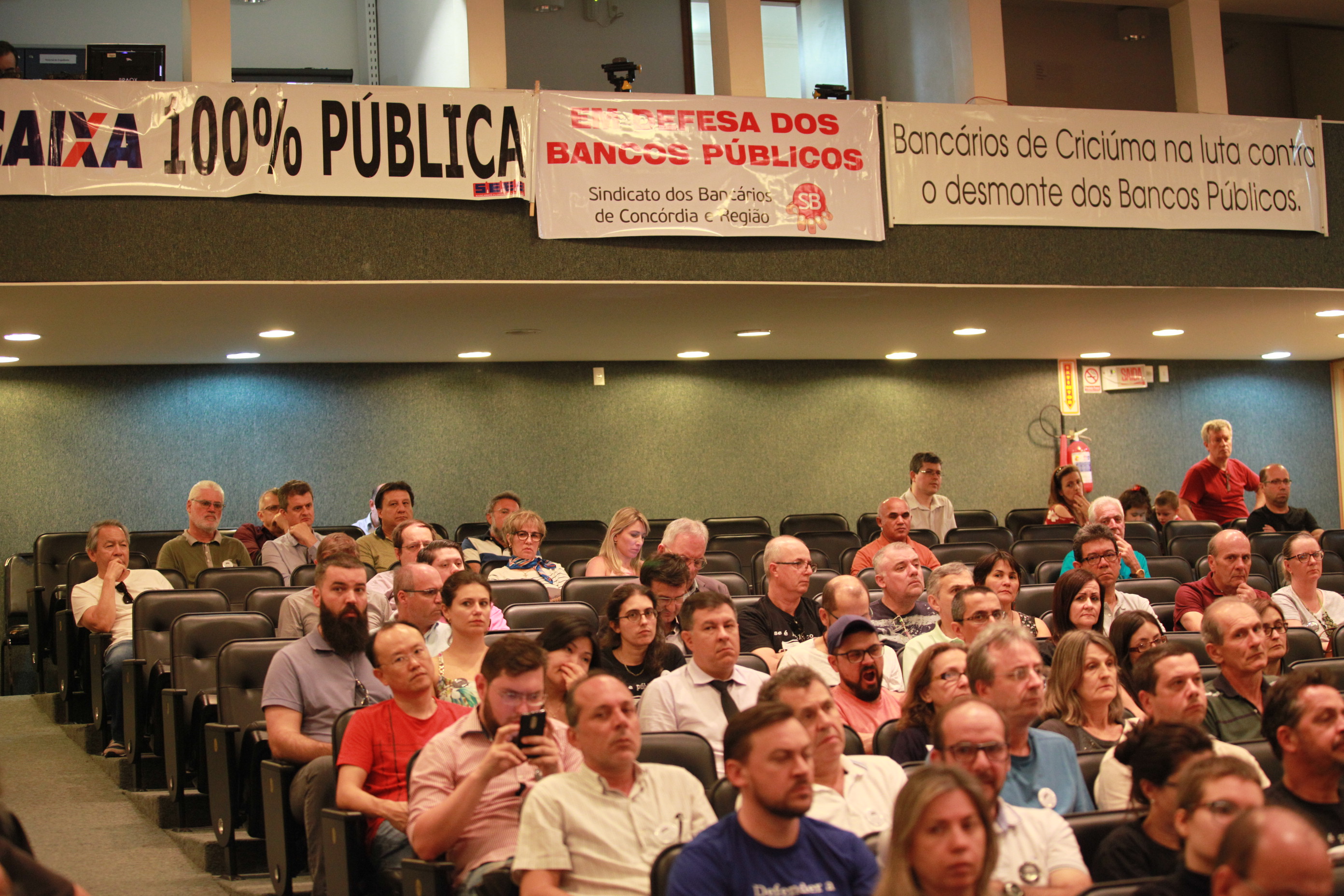 Audiência Pública - A importância dos bancos públicos.