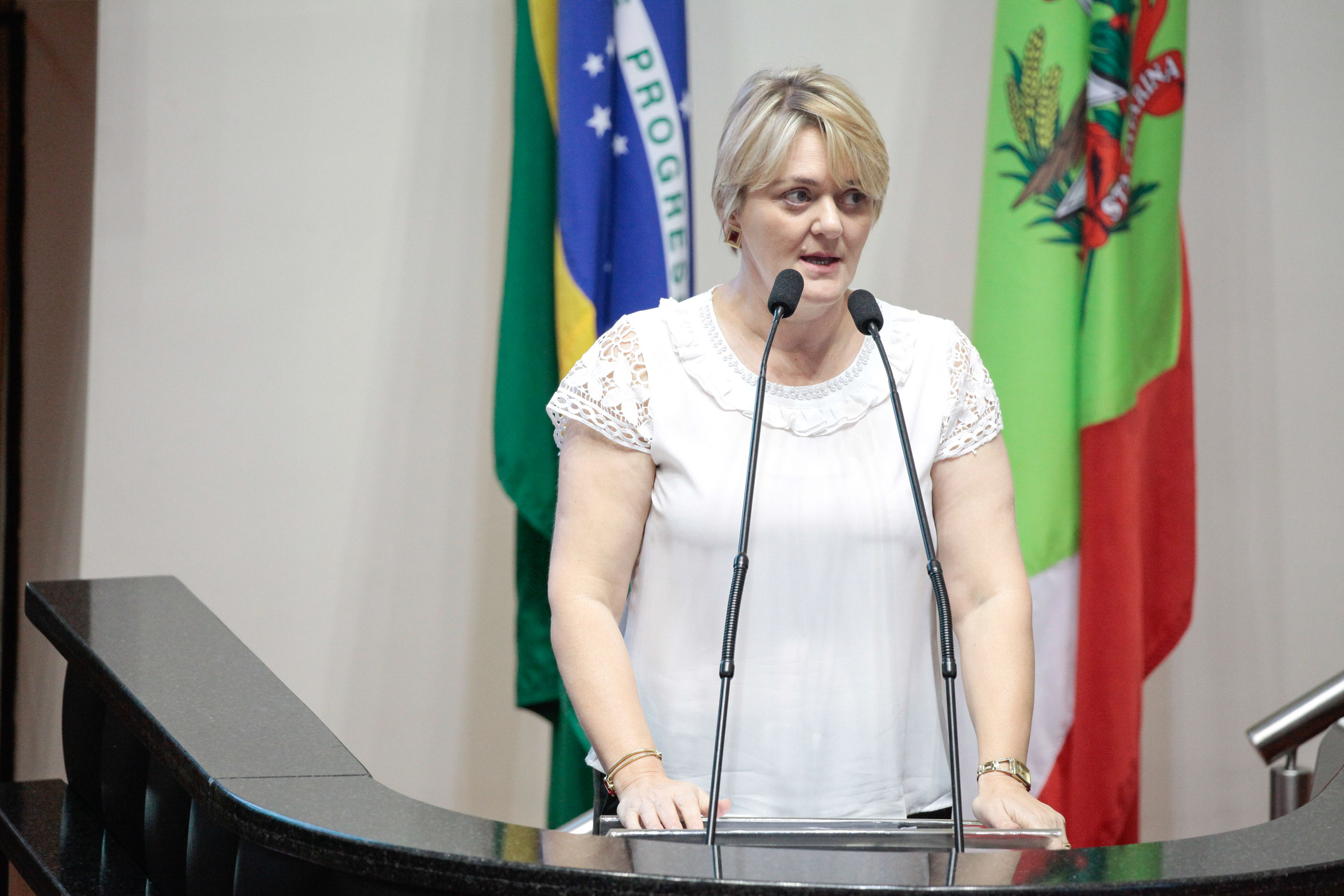 Deputada Luciane Carminatti (PT). Sessão Ordinária.