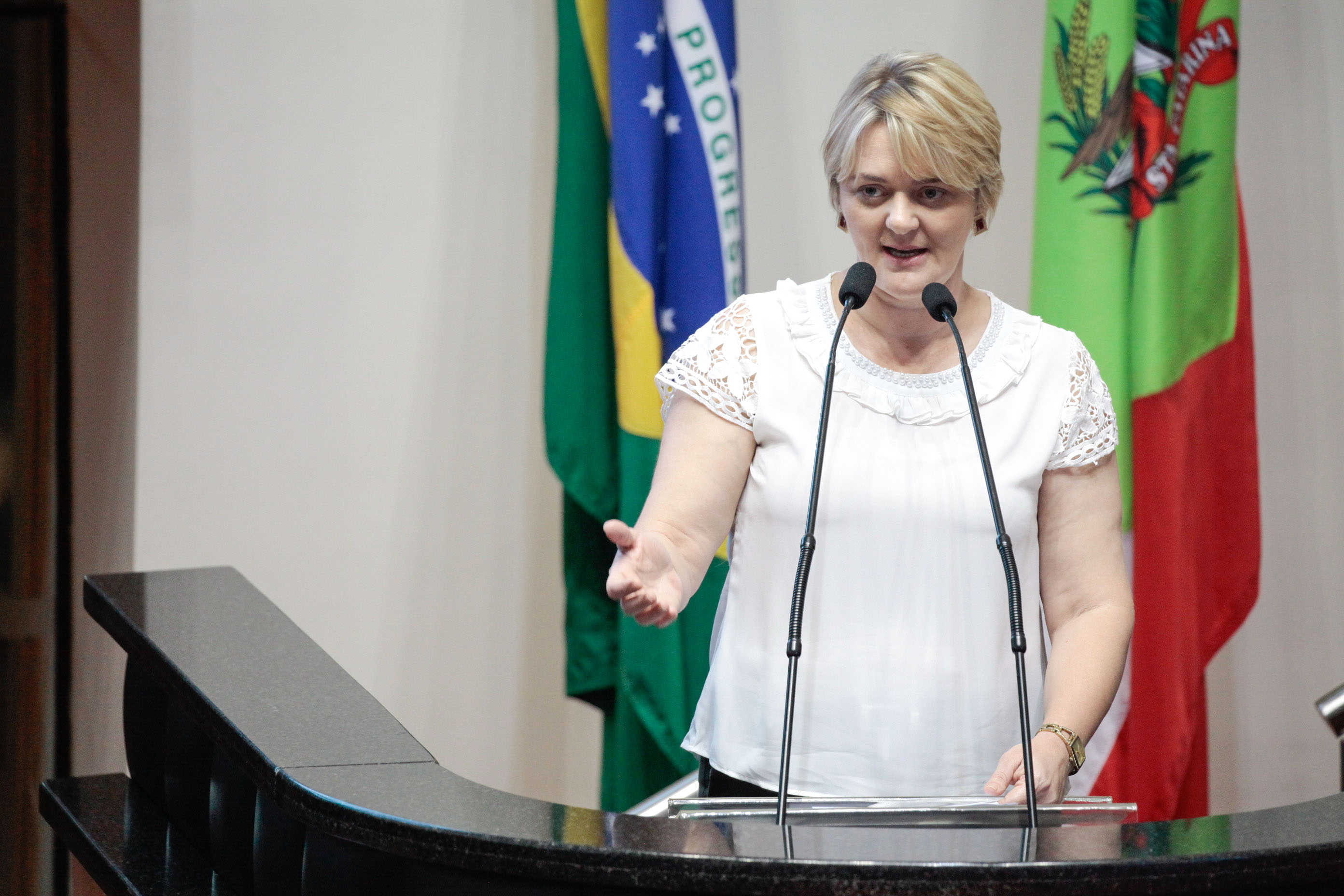 Deputada Luciane Carminatti (PT). Sessão Ordinária.