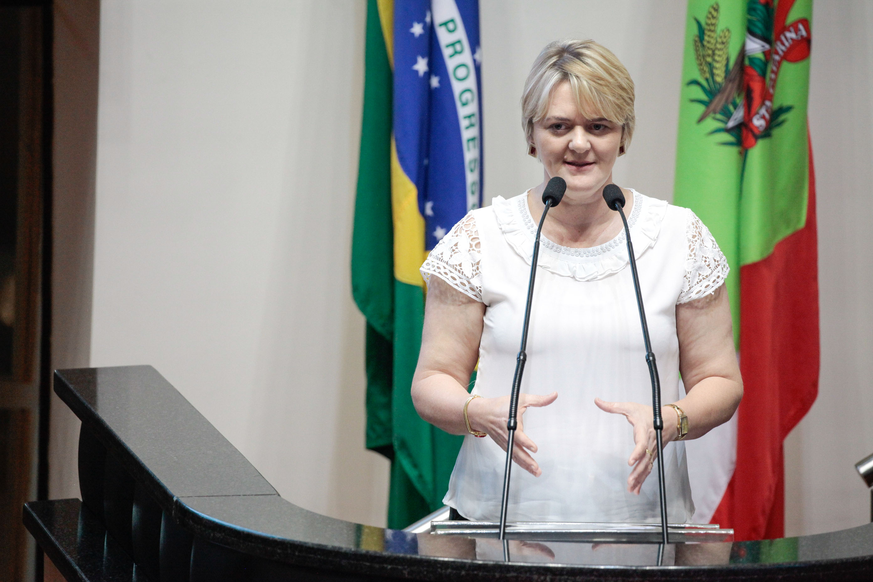 Deputada Luciane Carminatti (PT). Sessão Ordinária.