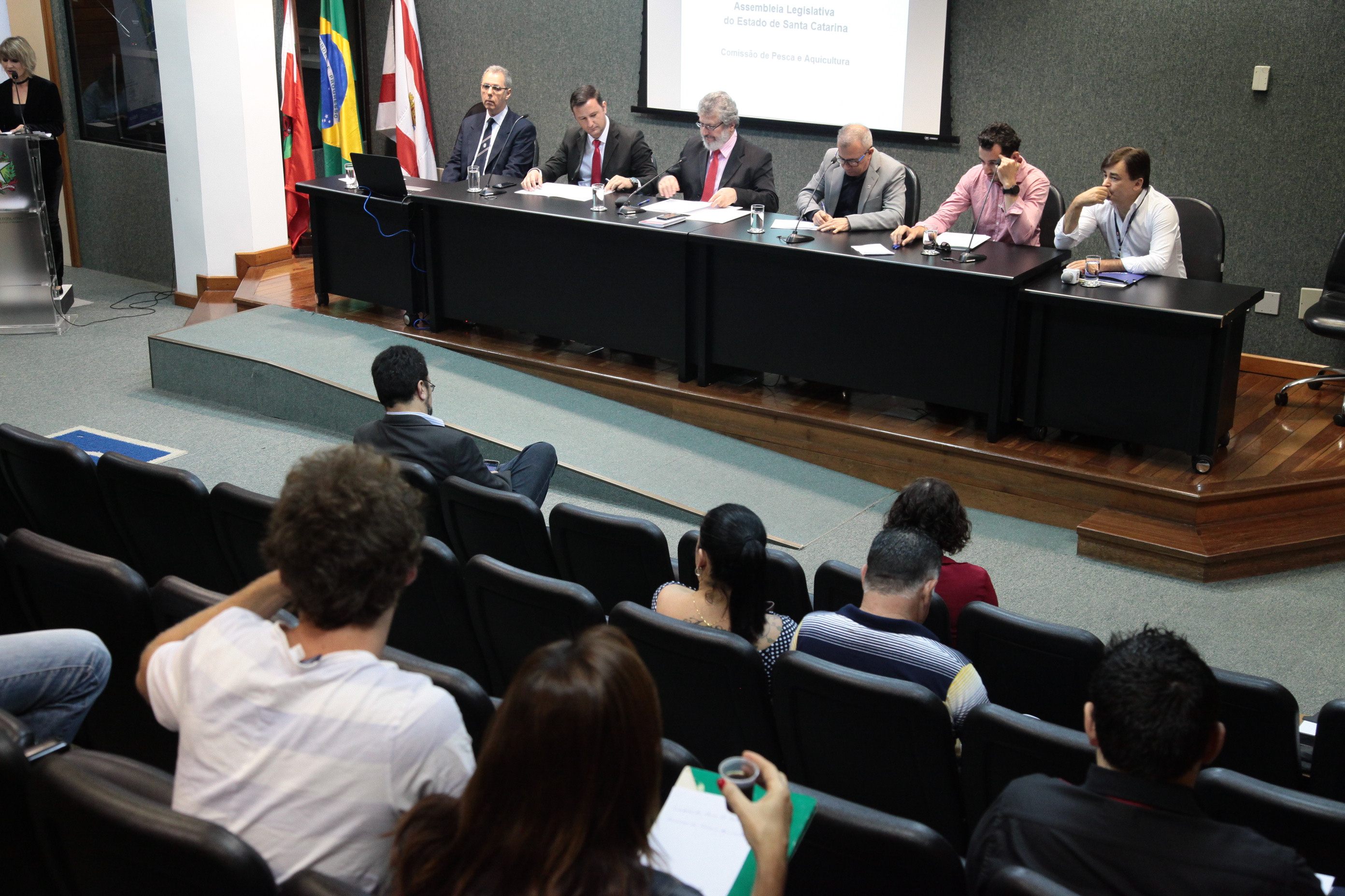 Audiência Pública  para Debater  Atividades das Embarcações Pesqueiras Artesanais na Costa de SC