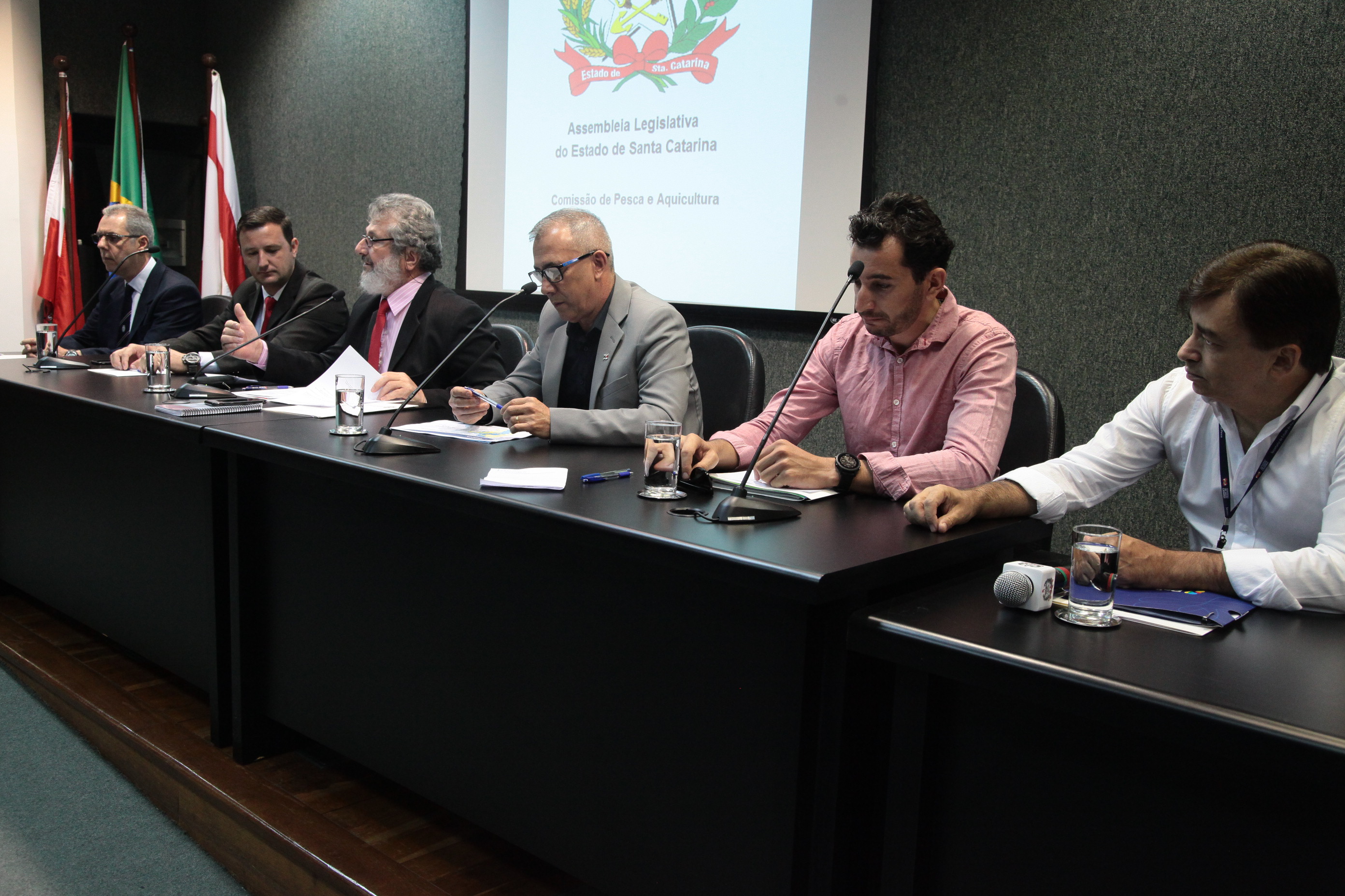 Audiência Pública  para Debater  Atividades das Embarcações Pesqueiras Artesanais na Costa de SC