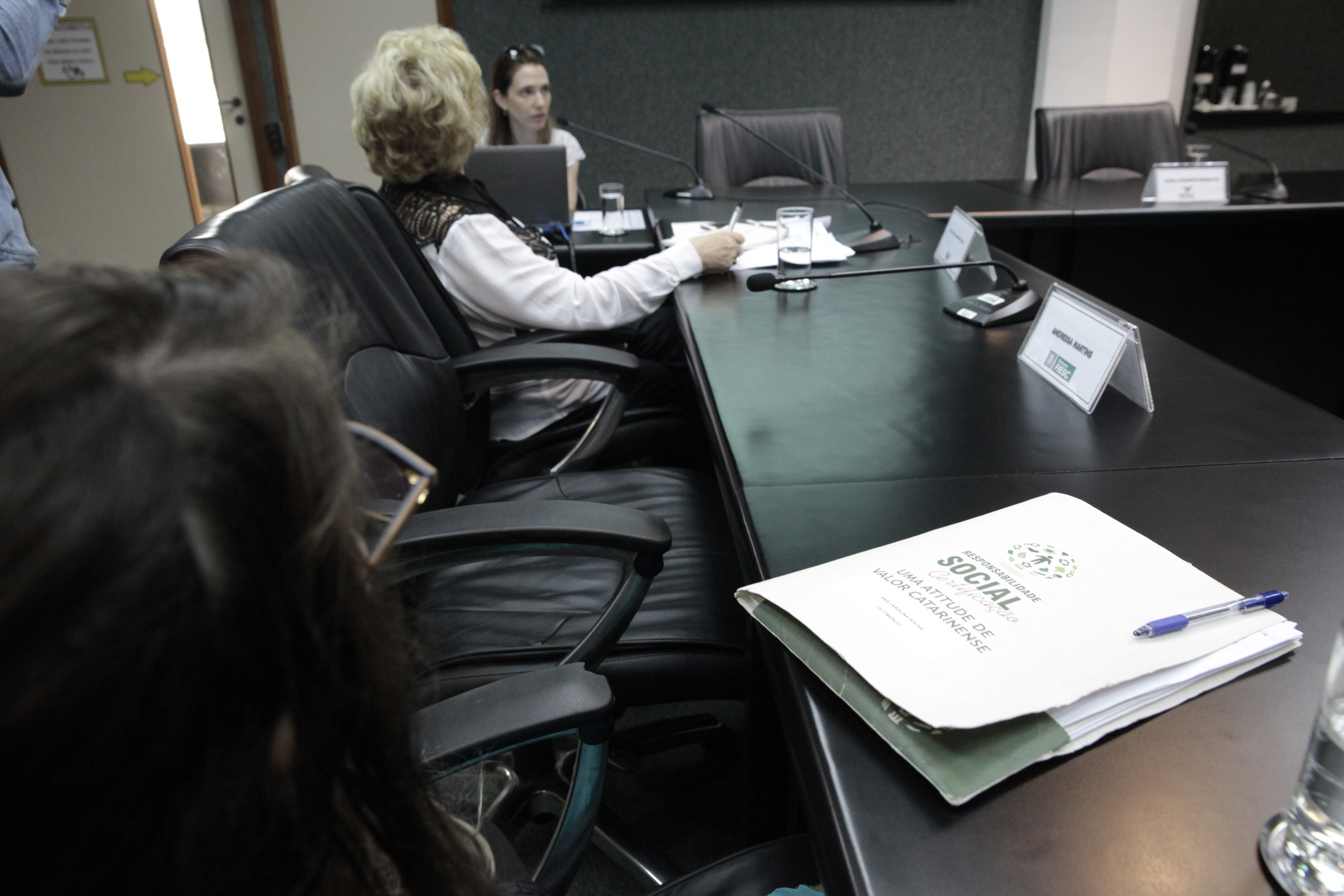 Reunião da Comissão de Responsabilidade Social.