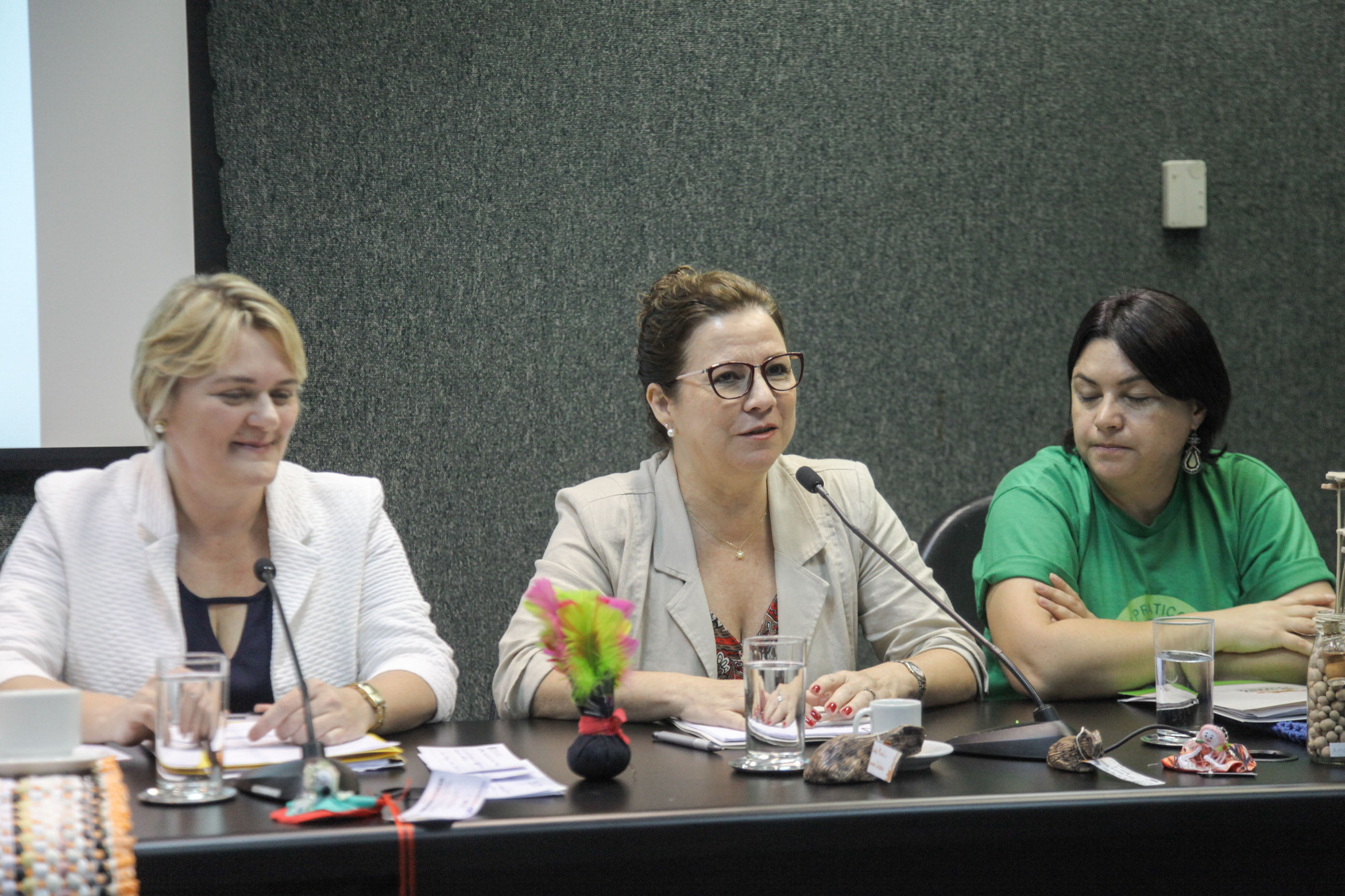 Audiência Pública sobre a Política de Economia Solidária em SC.
