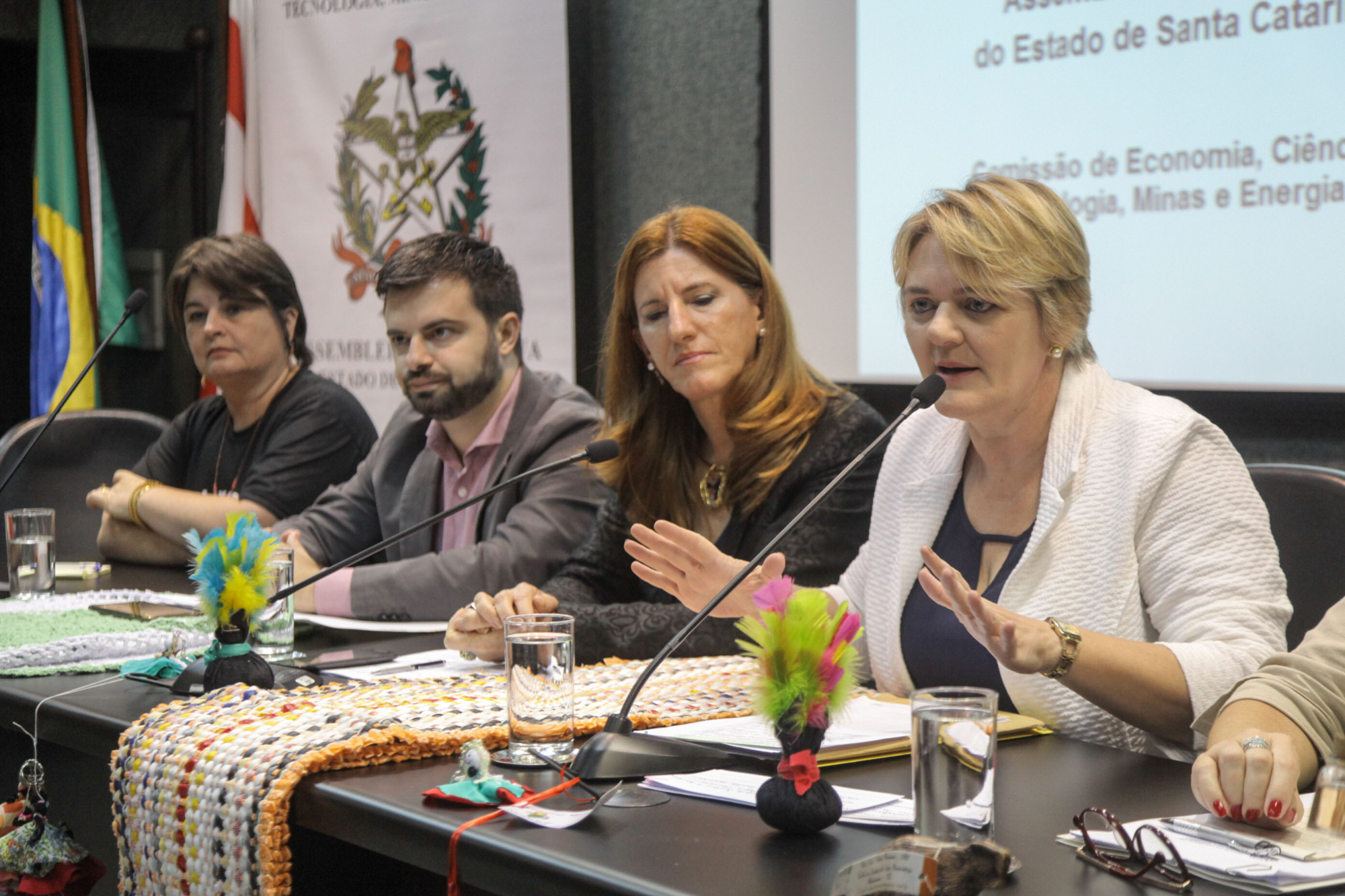 Deputada Luciane Carminatti comandou a reunião