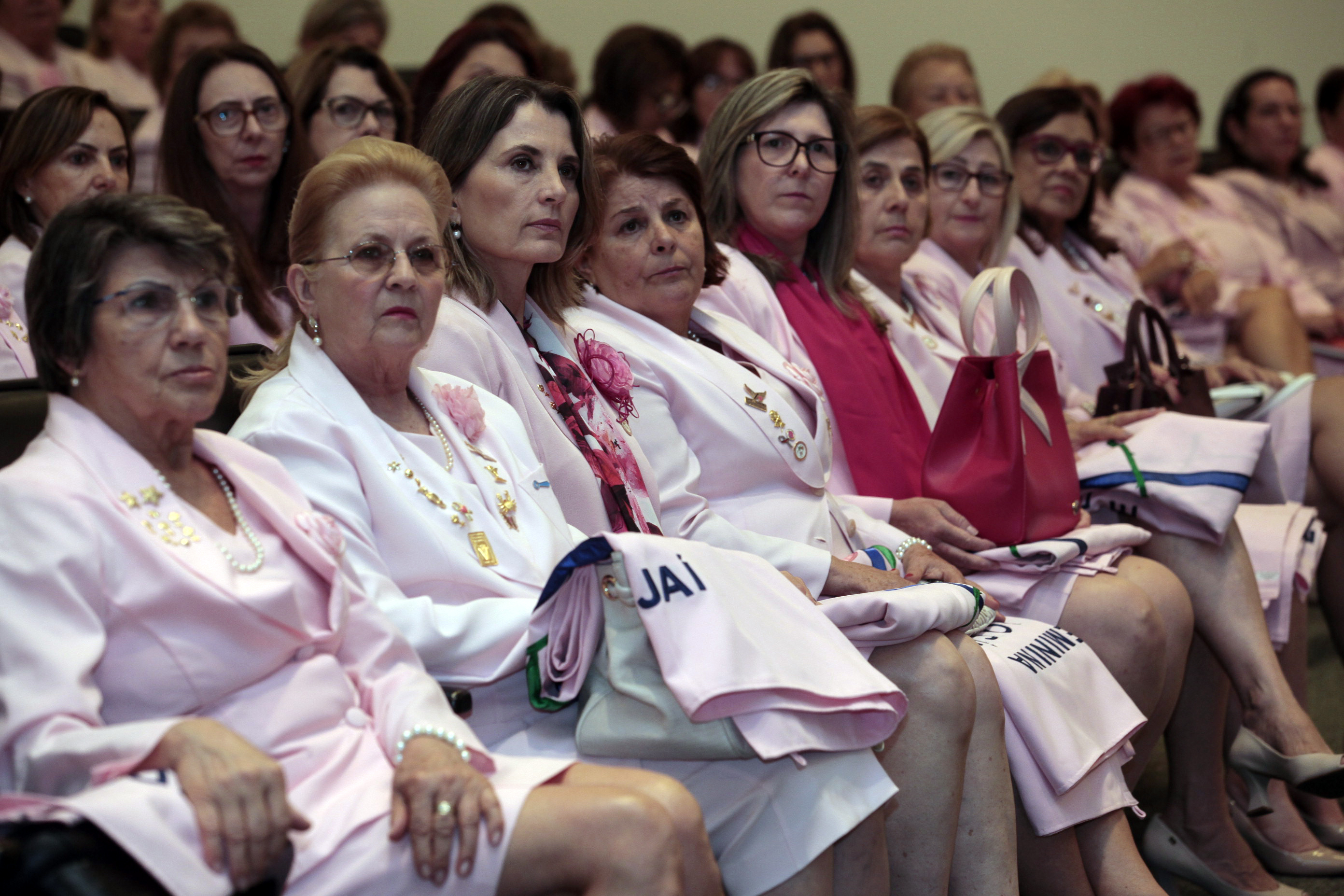 Encontro da Rede Feminina de Combate ao Câncer do Estado de Santa Catarina.