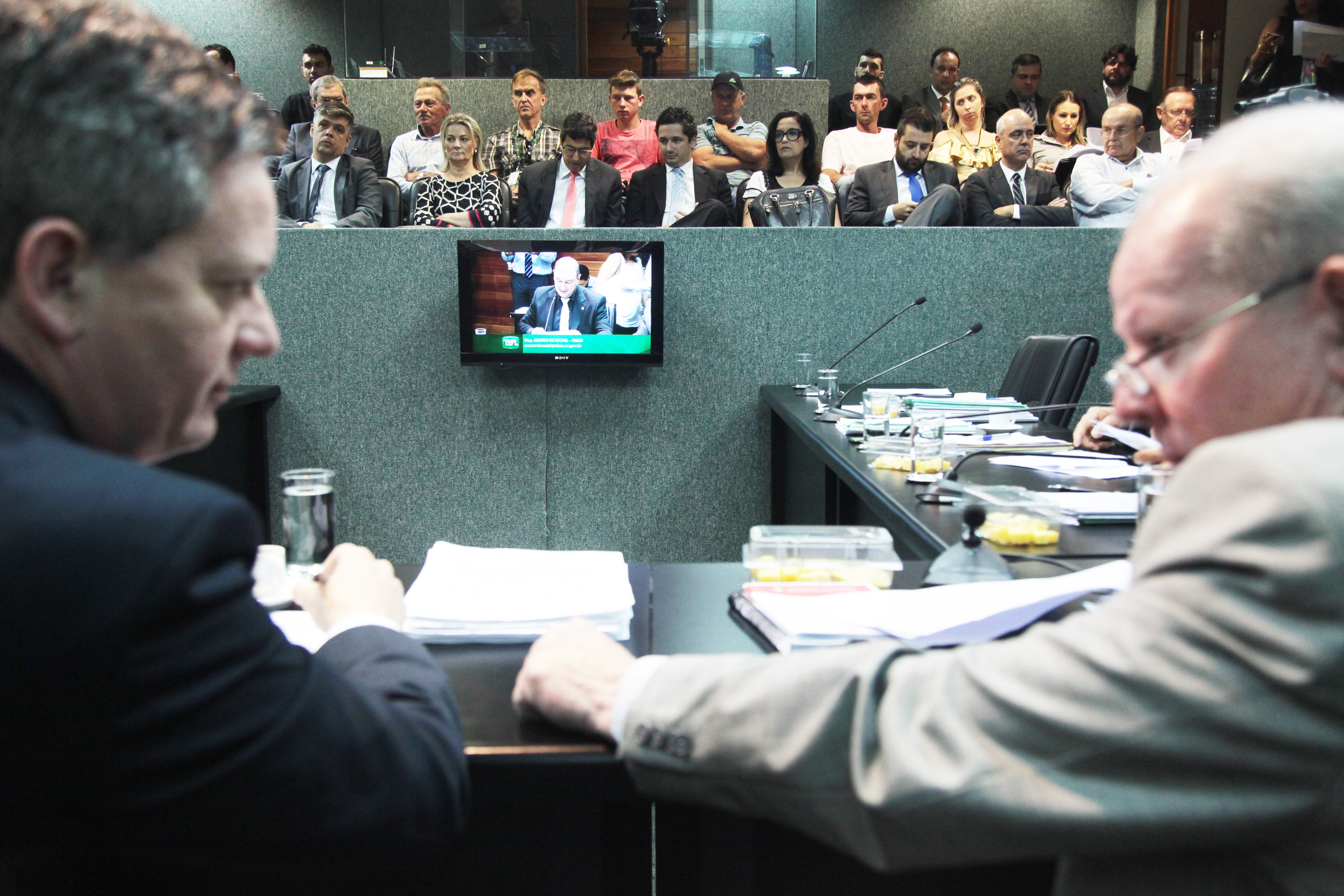 Comissão de Constituição e Justiça.