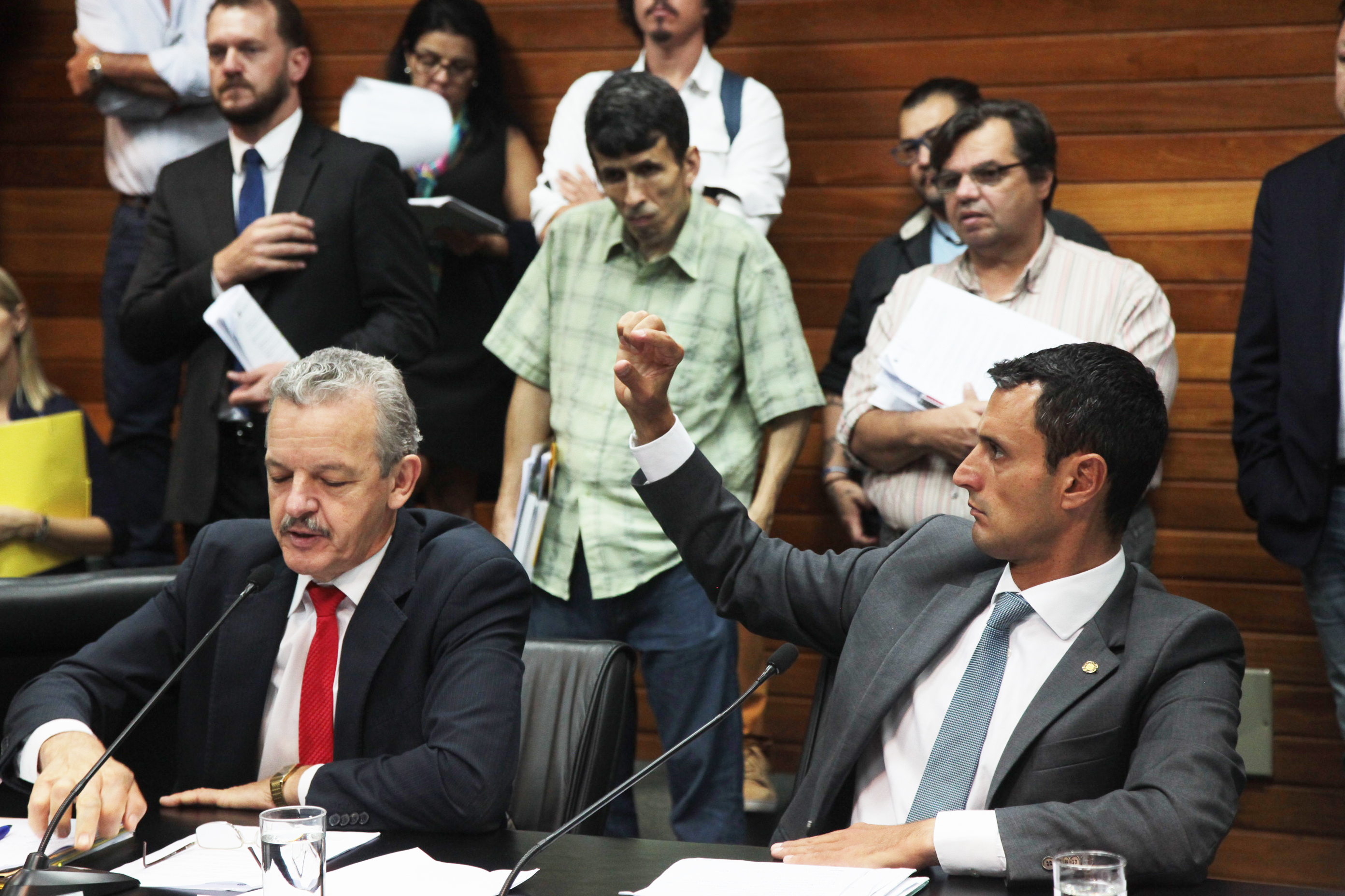 Comissão de Constituição e Justiça.
