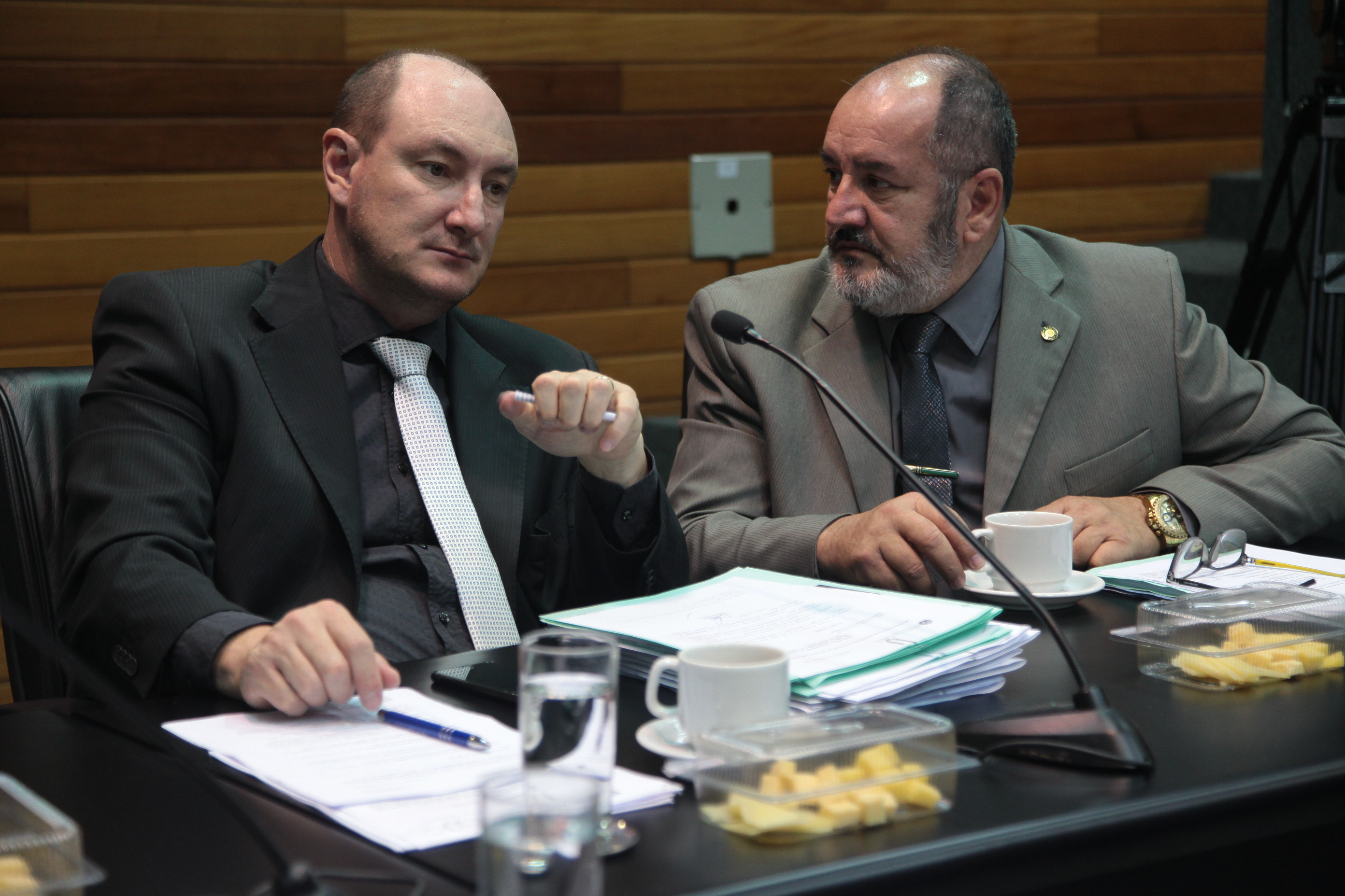 Comissão de Constituição e Justiça.