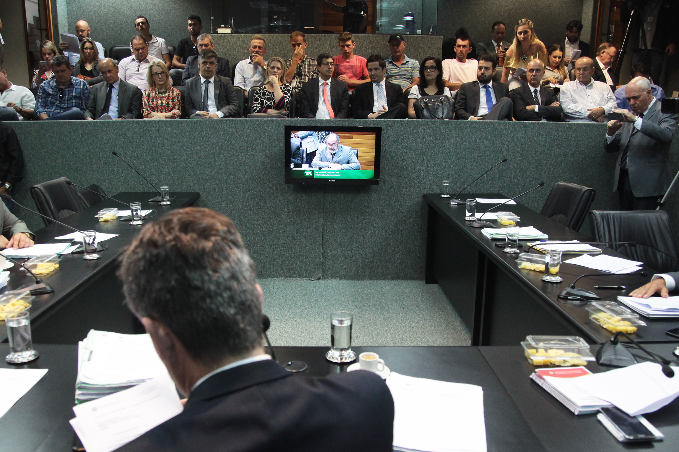 Comissão de Constituição e Justiça.