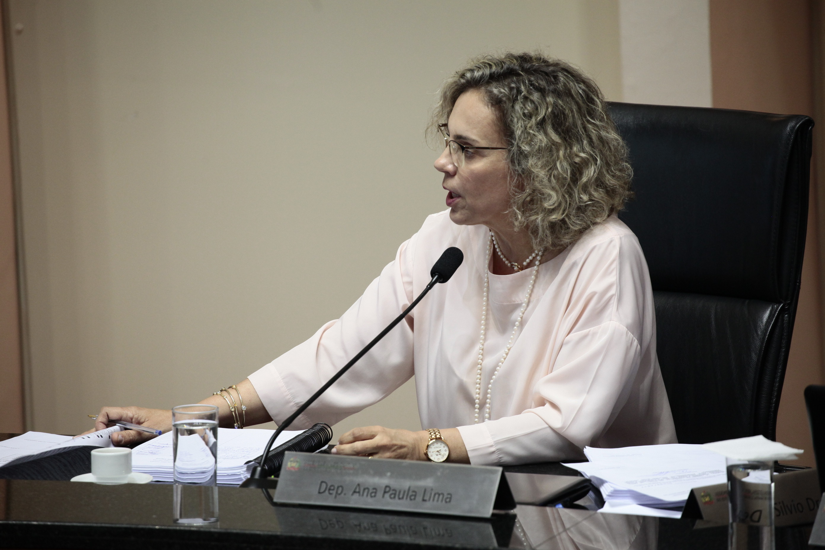 Sessão Ordinária. Deputada Ana Paula Lima (PT)