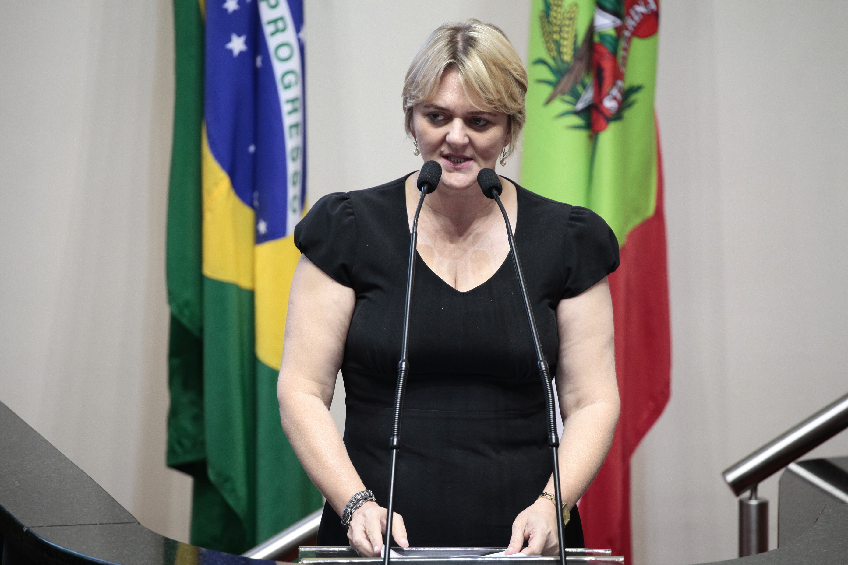 Sessão Ordinária. Deputada Luciane Carminatti (PT)