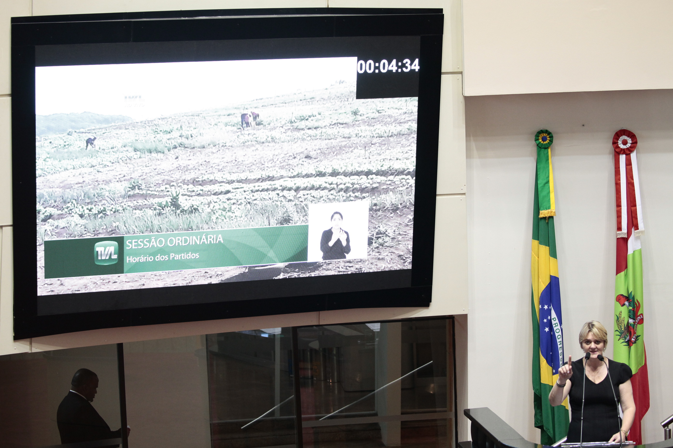 Sessão Ordinária. Deputada Luciane Carminatti (PT)
