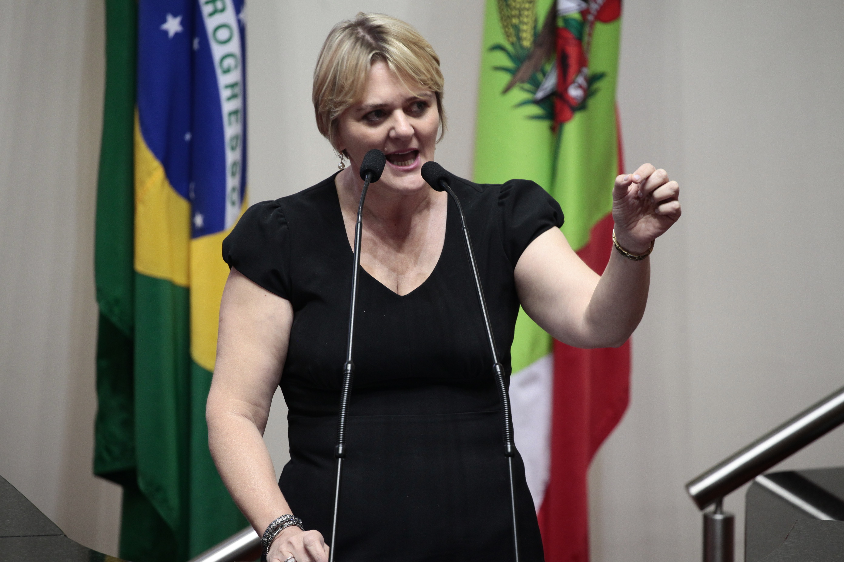 Sessão Ordinária. Deputada Luciane Carminatti (PT)