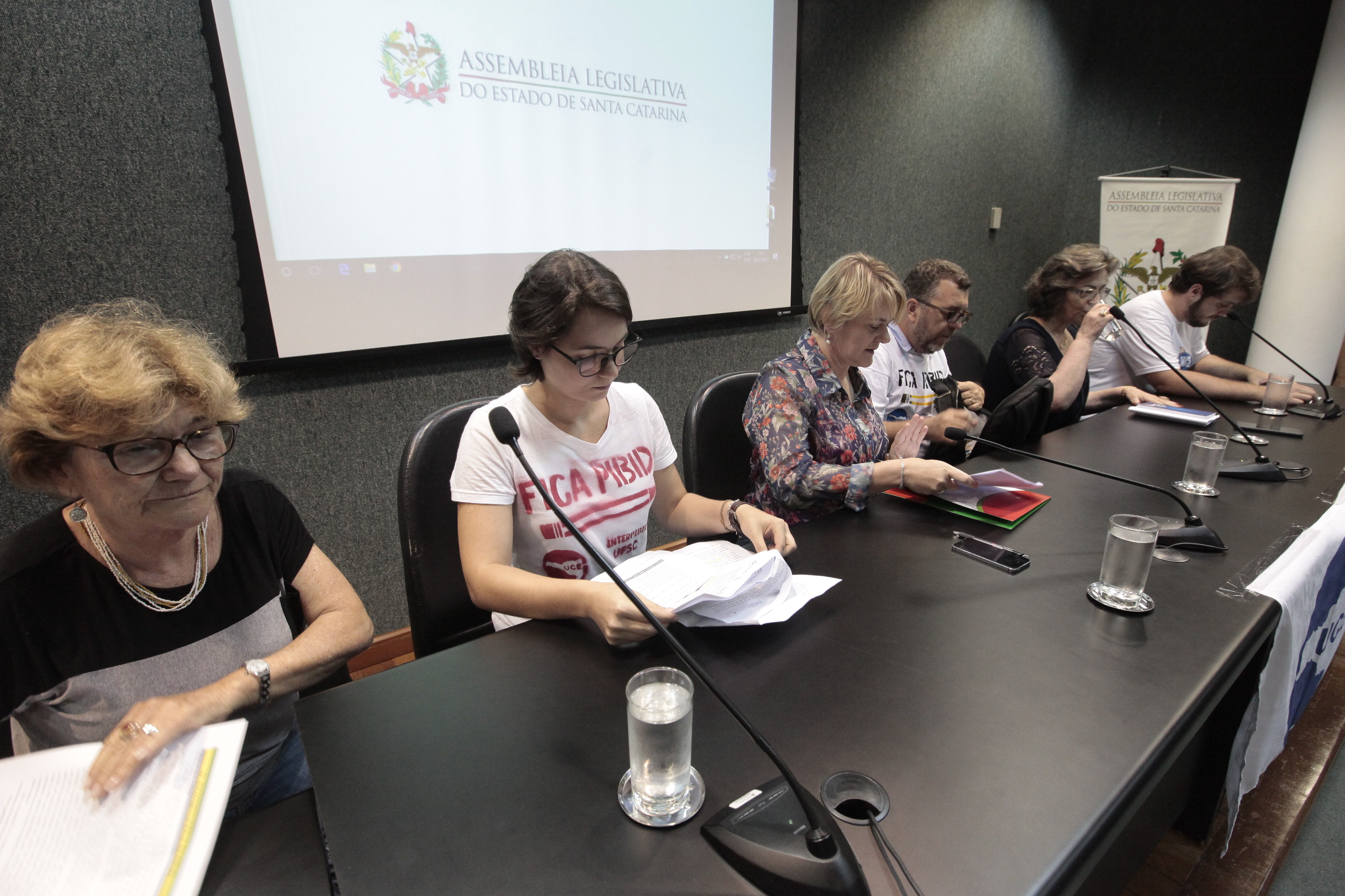 Programa Institucional de Bolsa de Iniciação a Docência (PIBID e PIBID Diversidade)