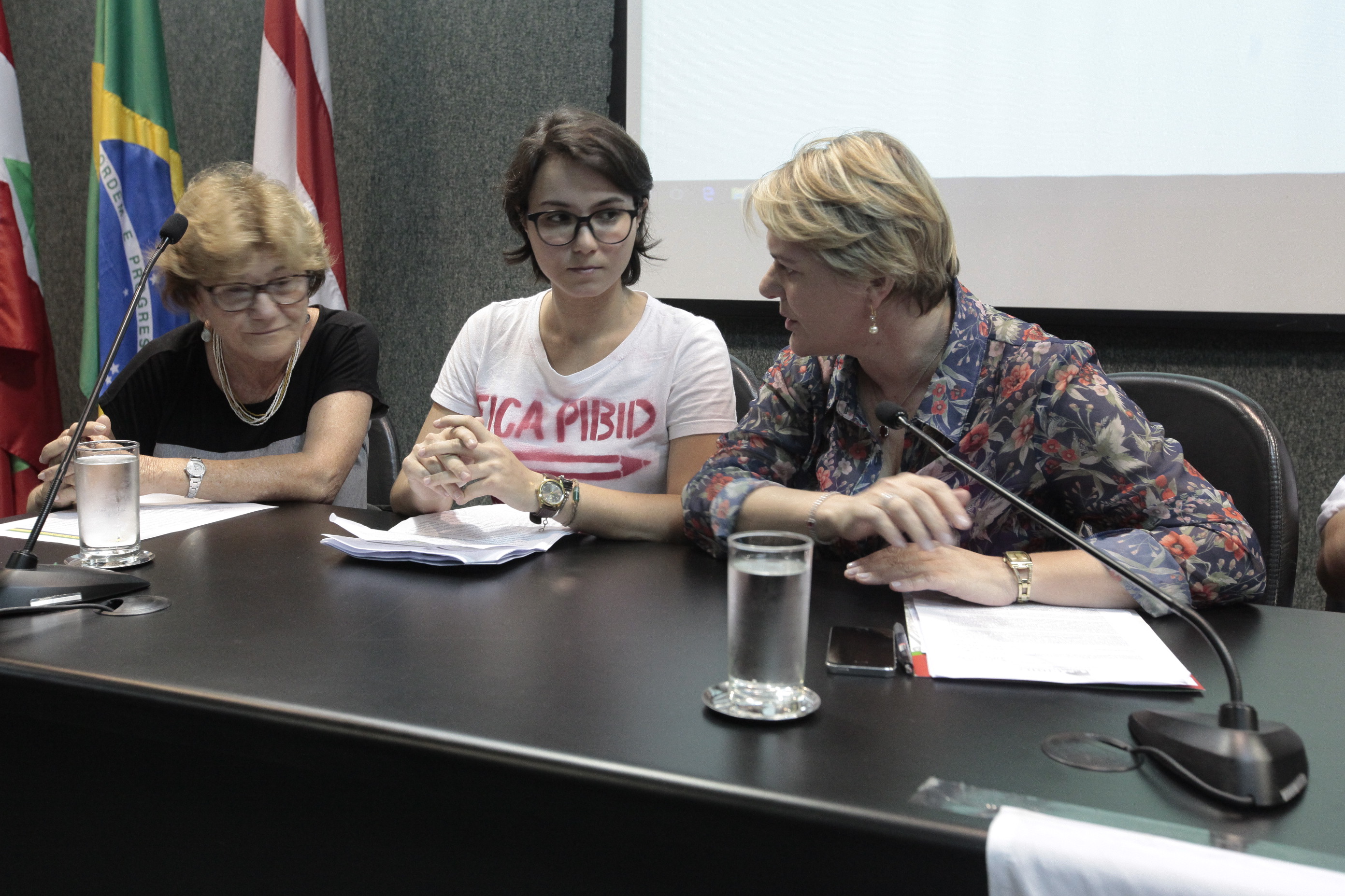 Programa Institucional de Bolsa de Iniciação a Docência (PIBID e PIBID Diversidade)
