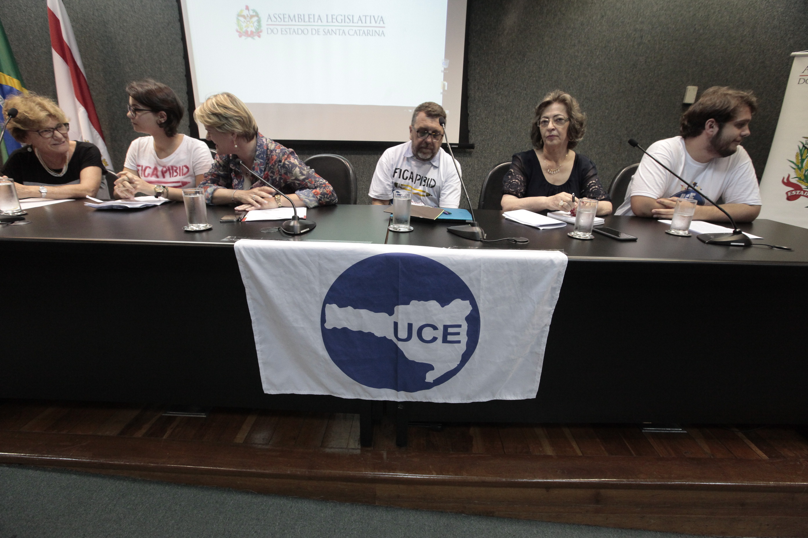 Programa Institucional de Bolsa de Iniciação a Docência (PIBID e PIBID Diversidade)