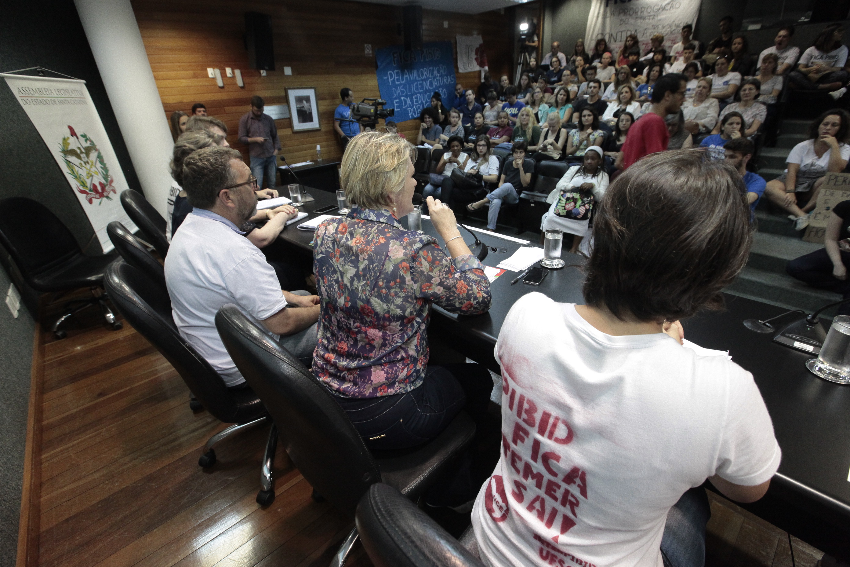 Programa Institucional de Bolsa de Iniciação a Docência (PIBID e PIBID Diversidade)