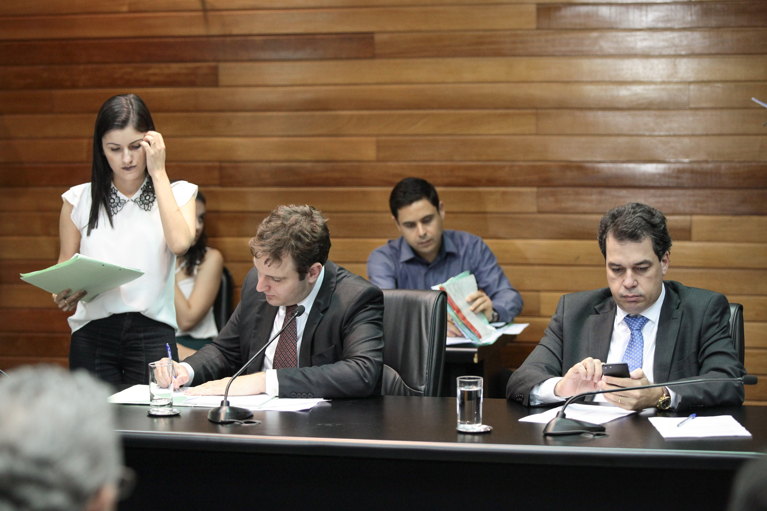 Comissão de Constituição e Justiça.