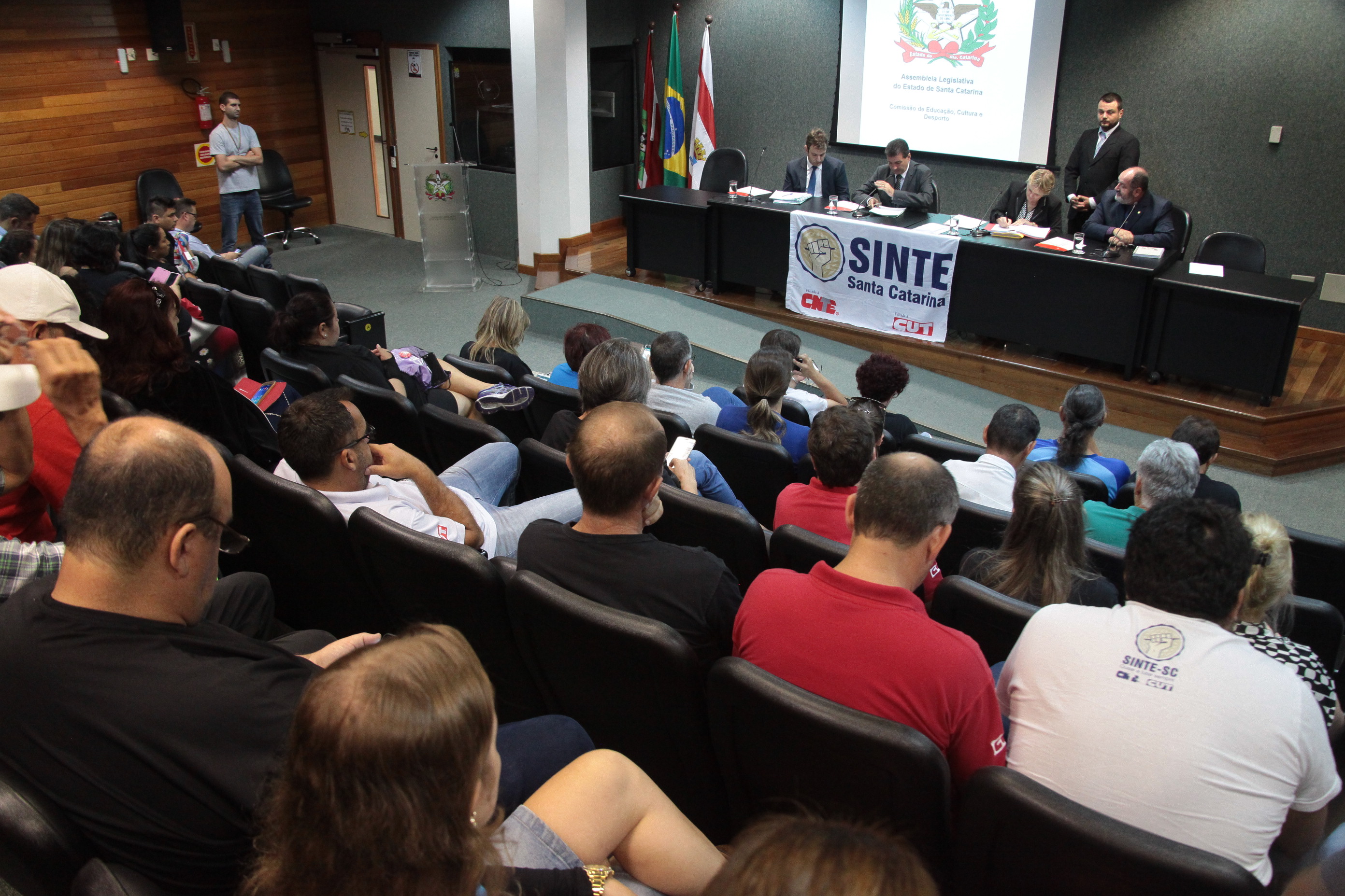 Comissão de Educação, Cultura e Desporto
