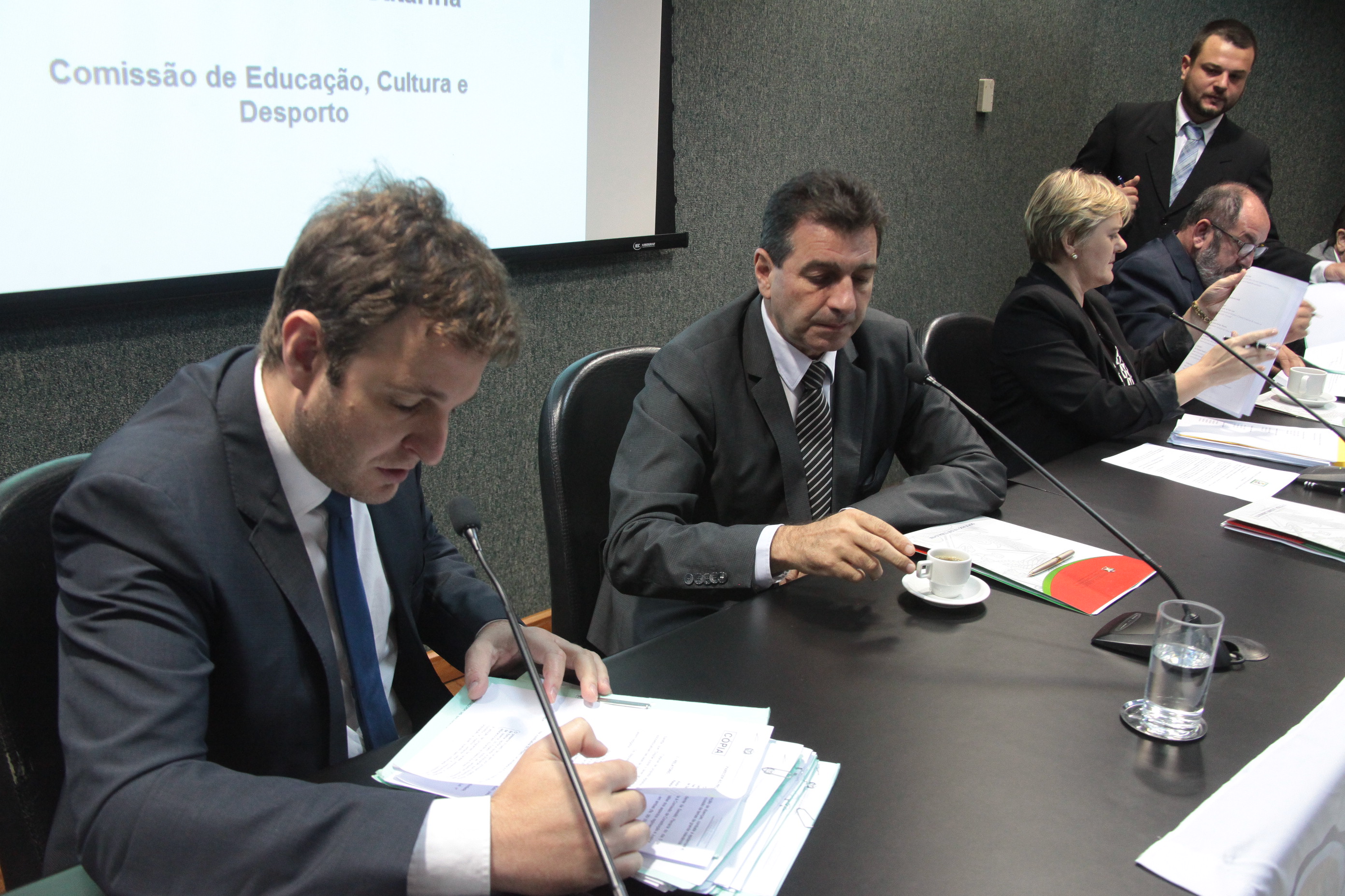Comissão de Educação, Cultura e Desporto
