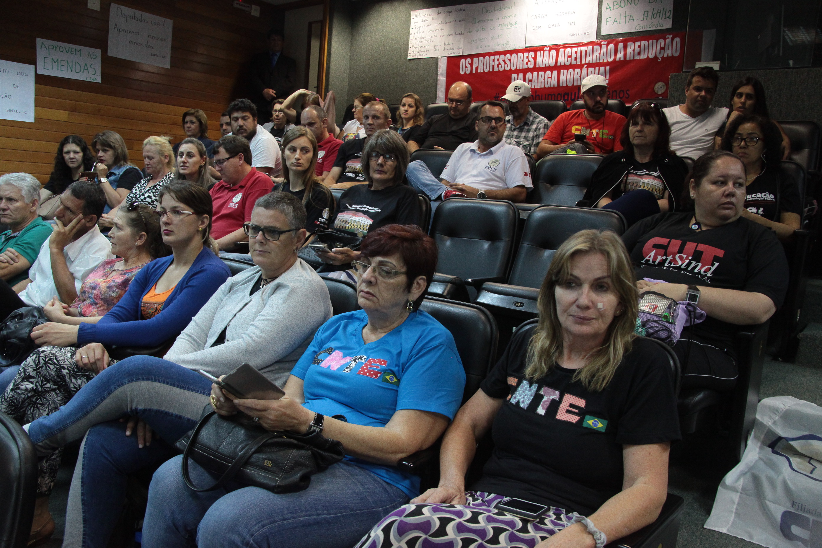 Comissão de Educação, Cultura e Desporto