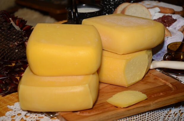 Lei sancionada regulamenta produção de queijo artesanal de leite cru em SC