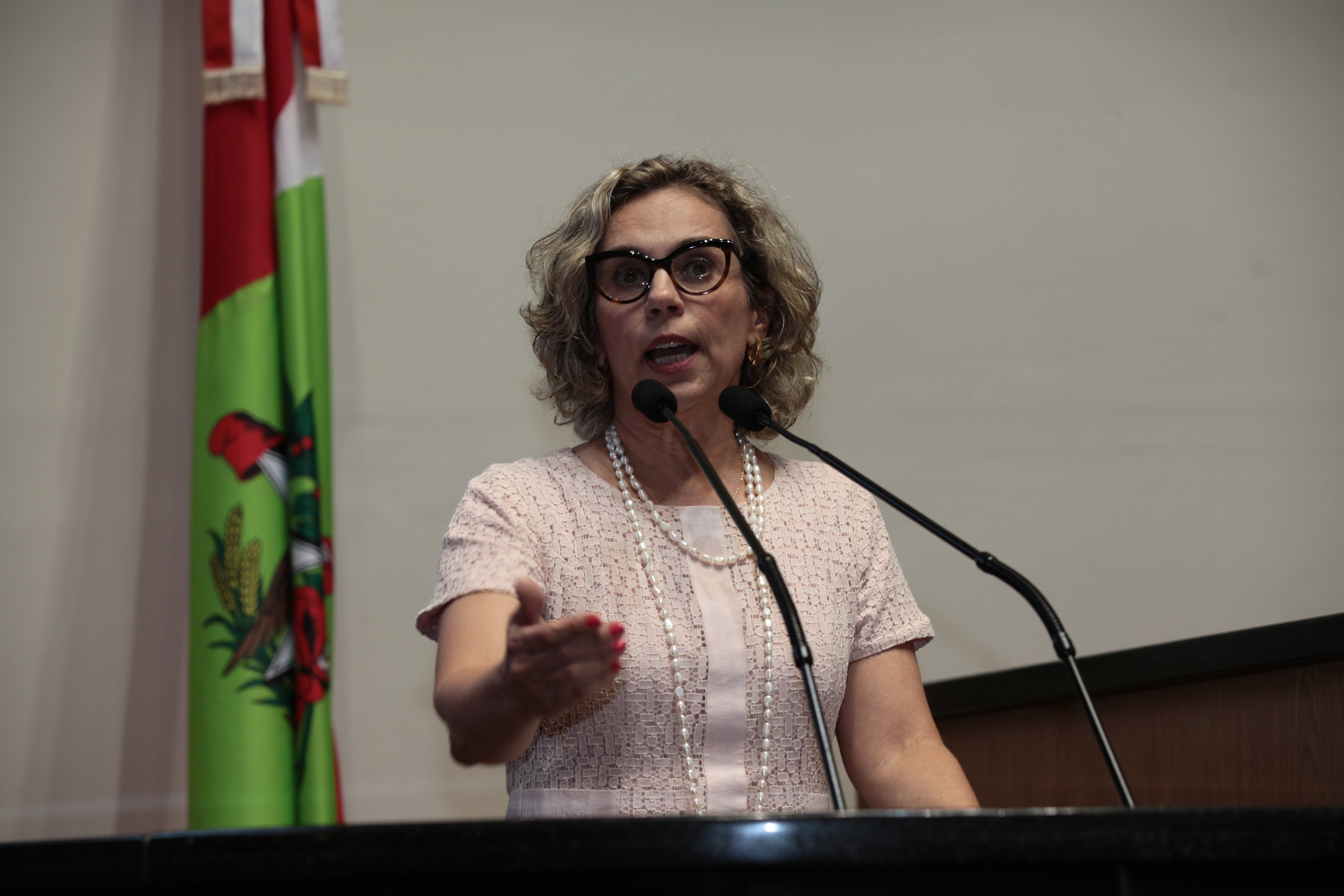 Sessão Ordinária - Deputada Ana Paula Lima (PT)