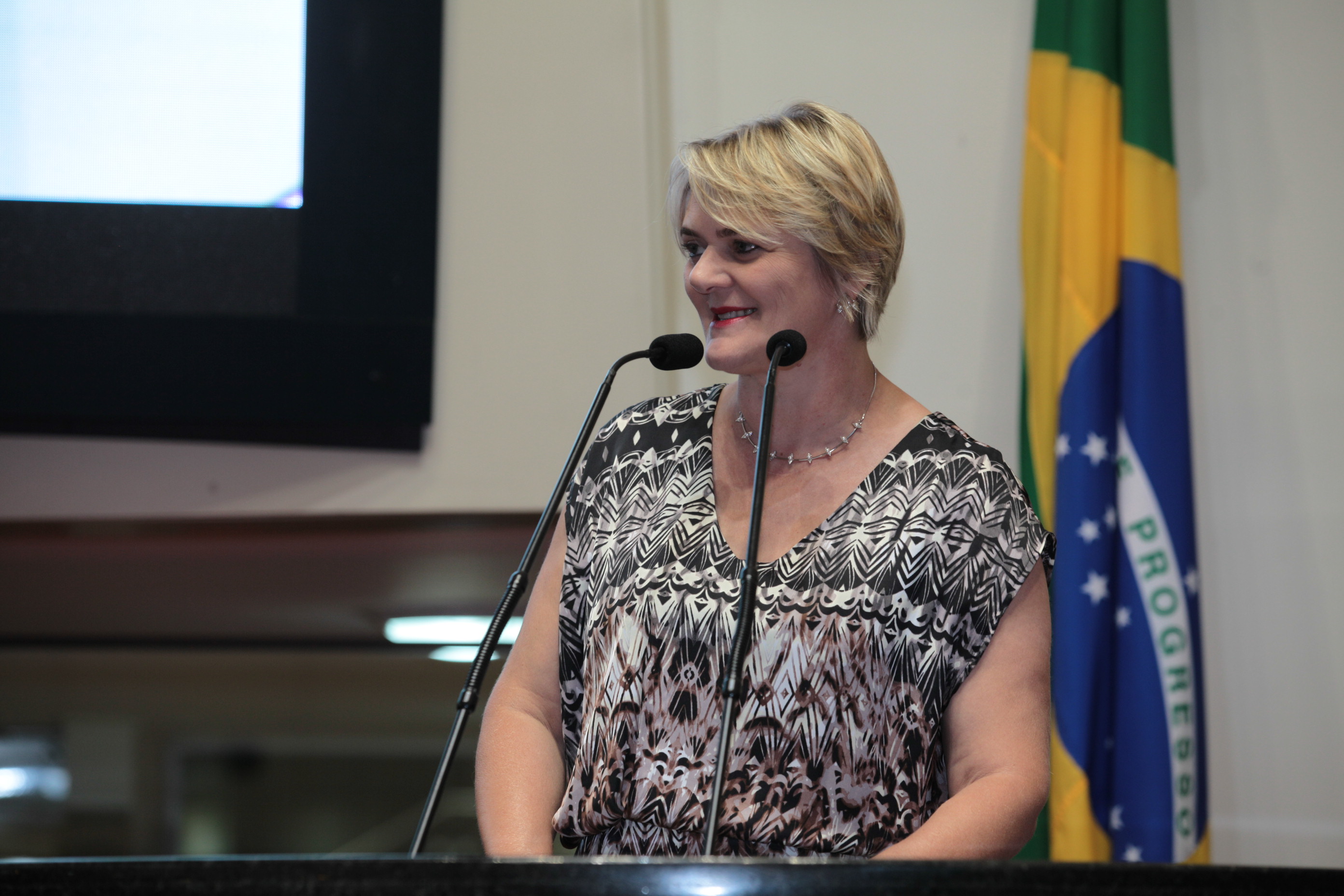 Sessão Ordinária - Deputada Luciane Carminatti (PT)