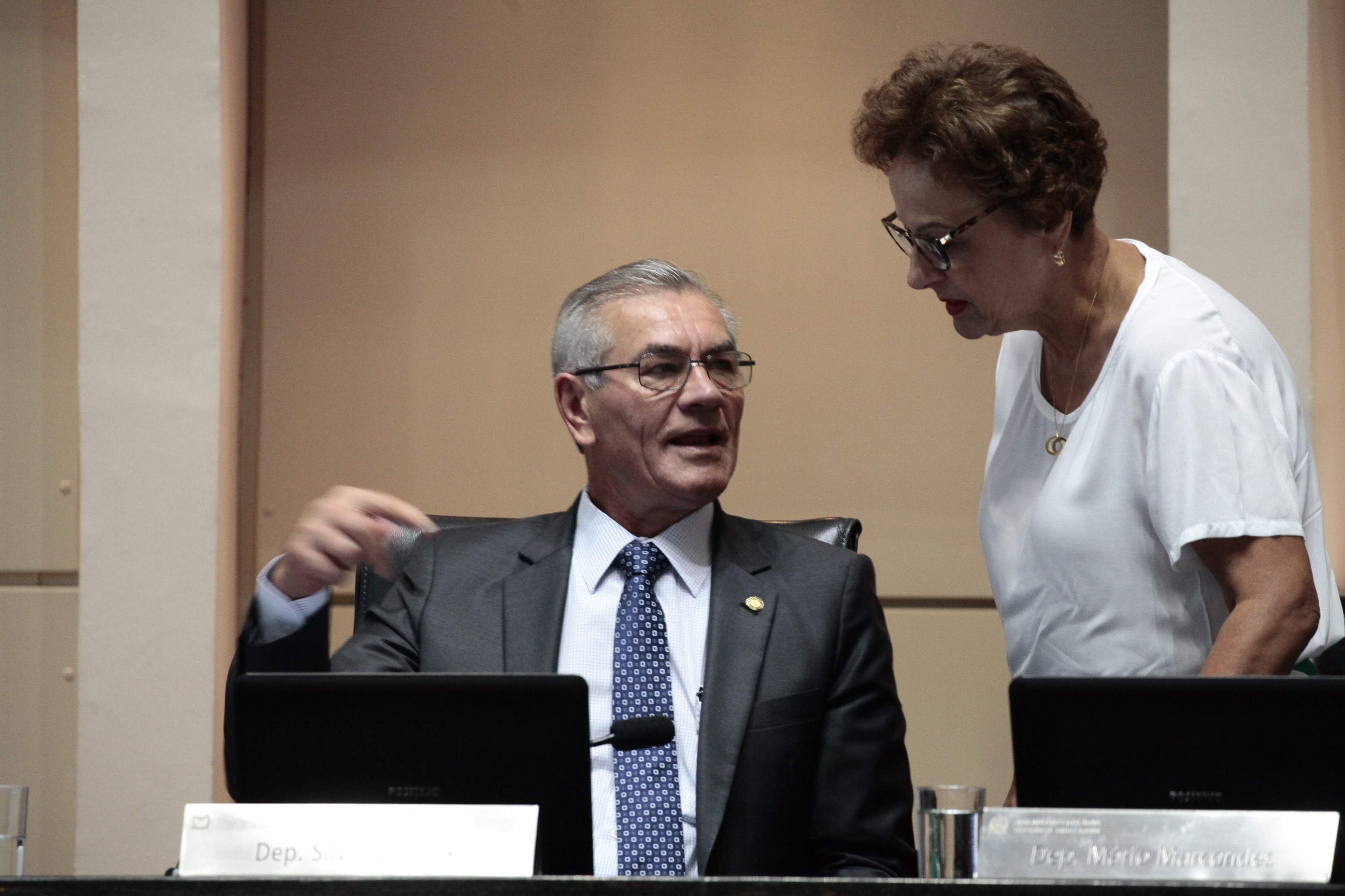 Sessão Ordinária