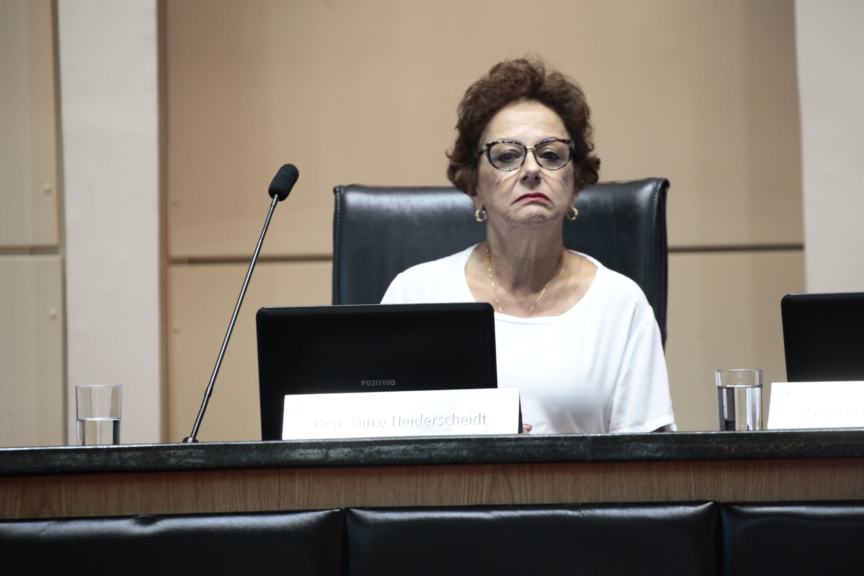 Deputada Dirce Heiderscheidt (PMDB)