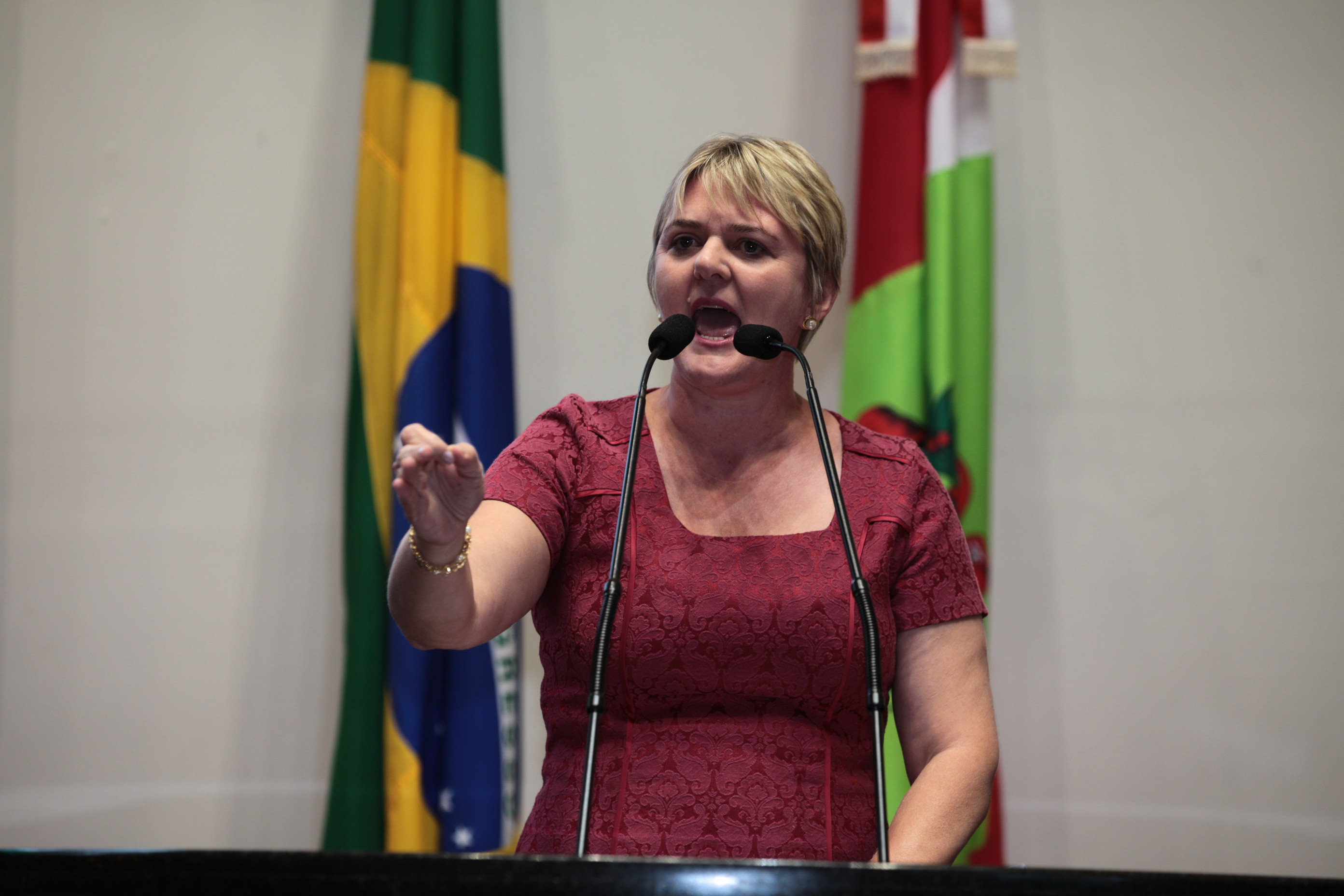 Sessão Plenária