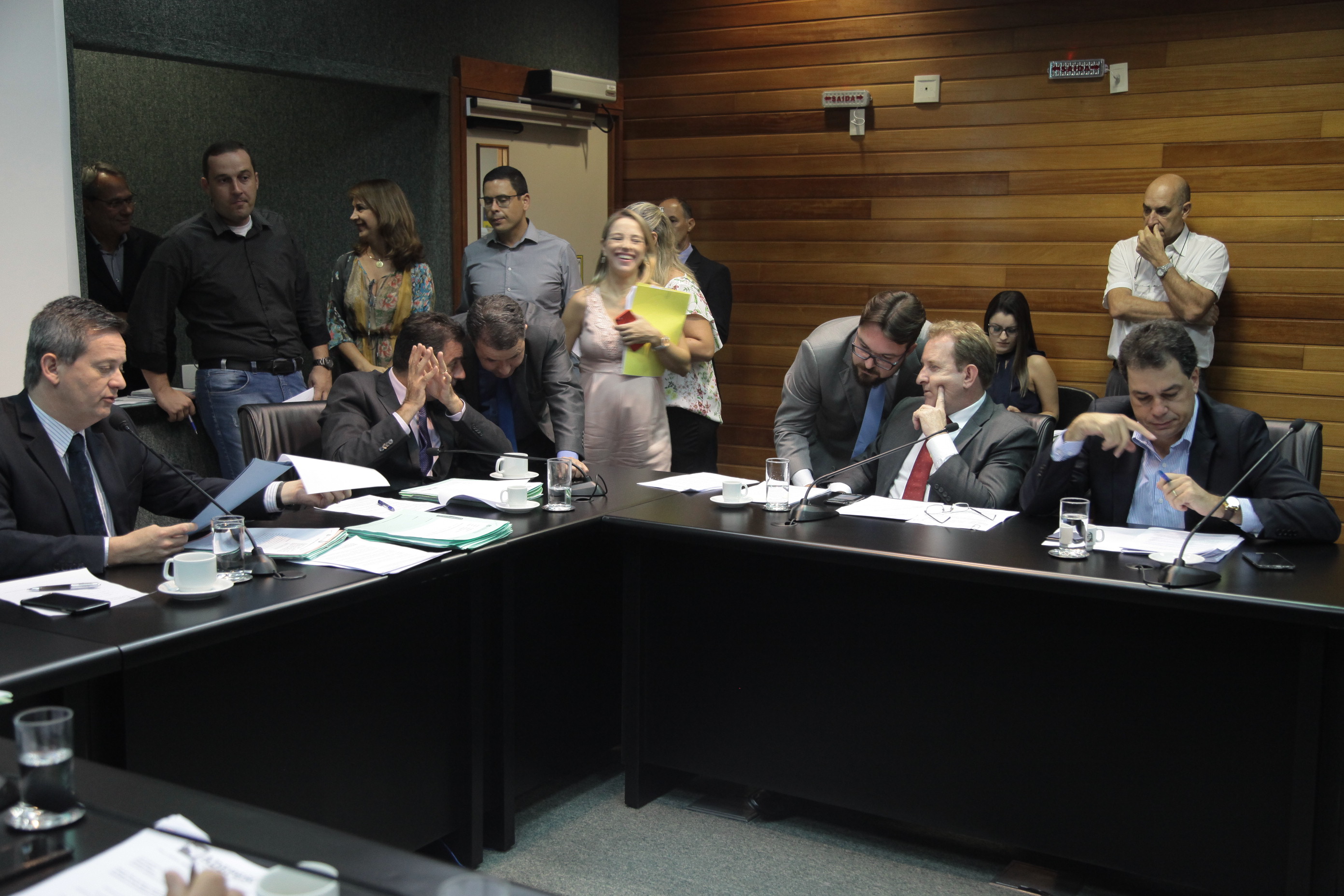 Comissão de Constituição e Justiça.