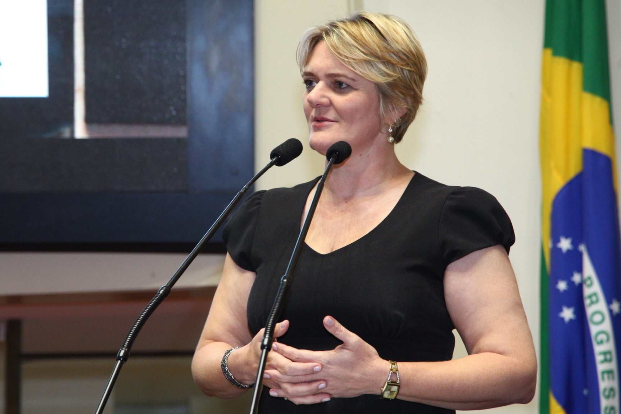 Deputada Luciane defende DPCAMIs abertas 24h em SC