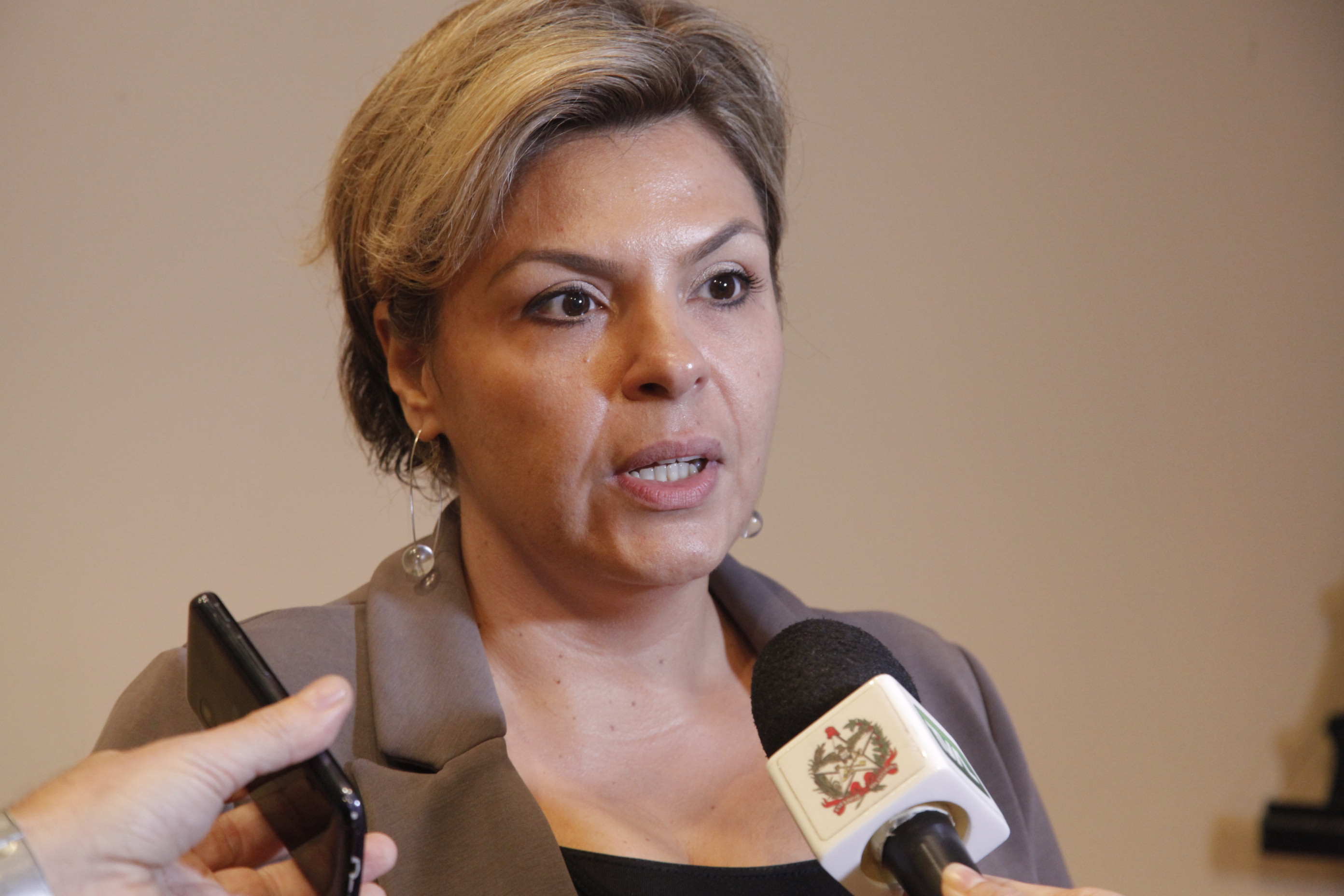 Seminário Gestão e Captação de Recursos_ Fundos Especiais _Fernanda Dearo