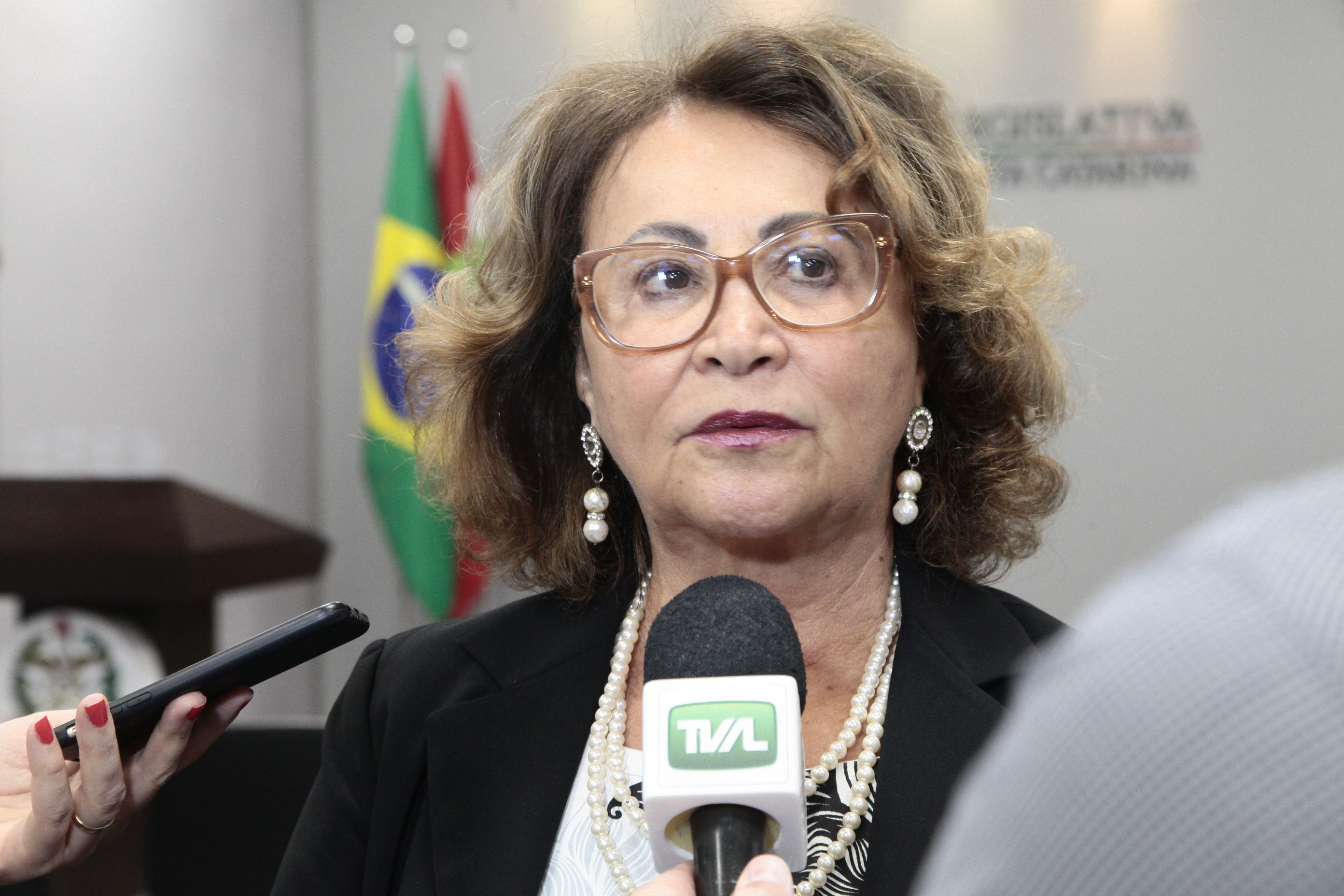 Lançamento Feira do Livro de Joinville