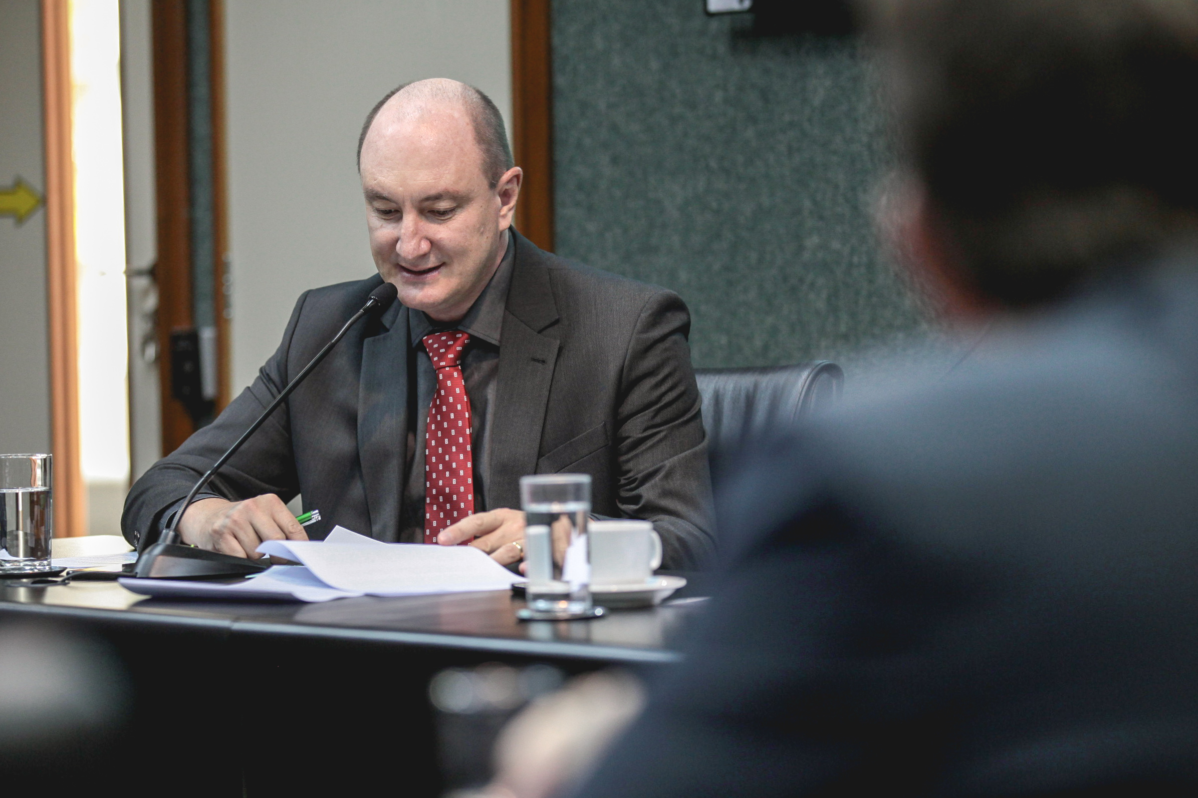 Deputado Mauro de Nadal (PMDB). Comissão de Constituição e Justiça.
