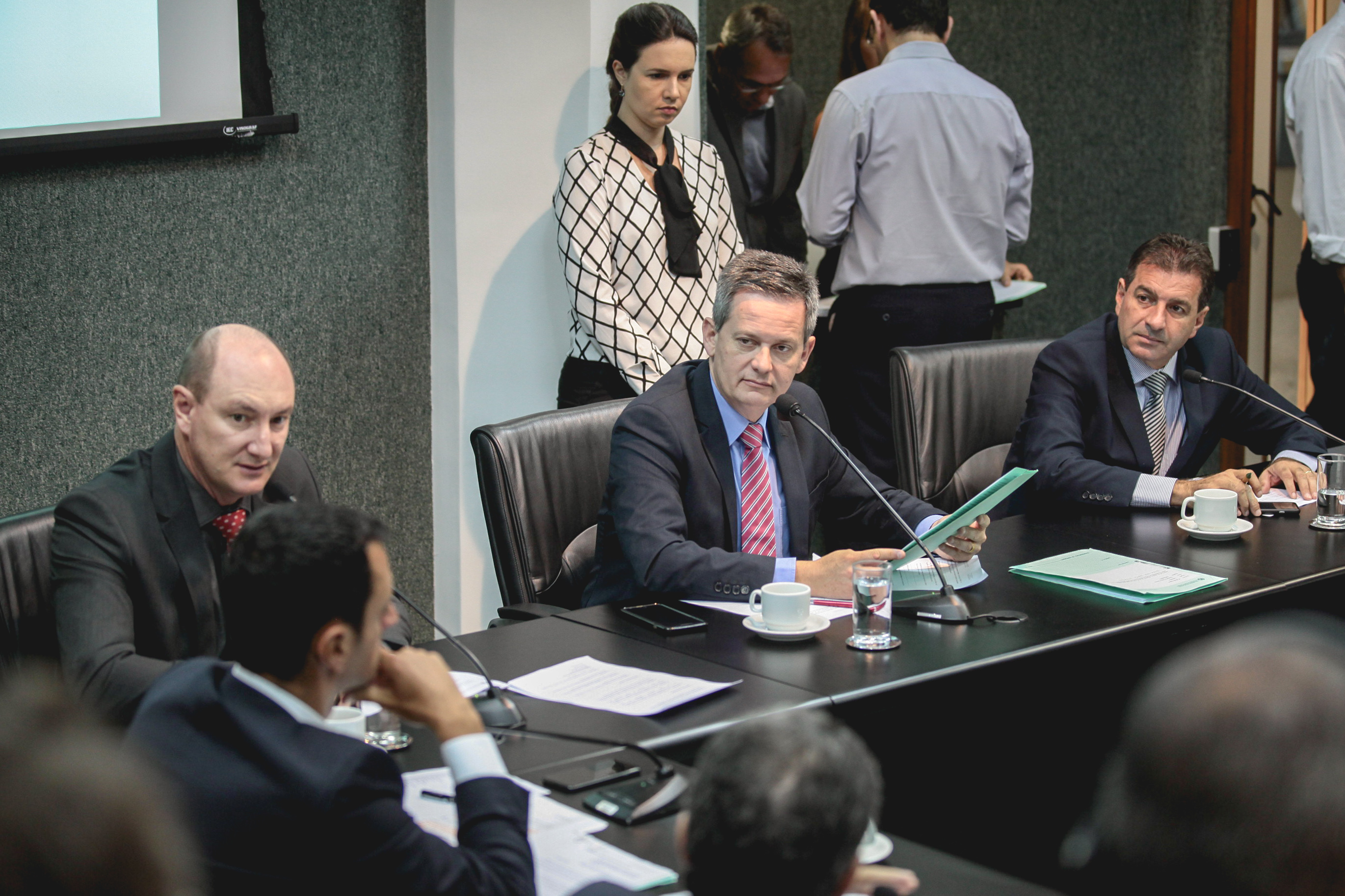 Comissão de Constituição e Justiça.